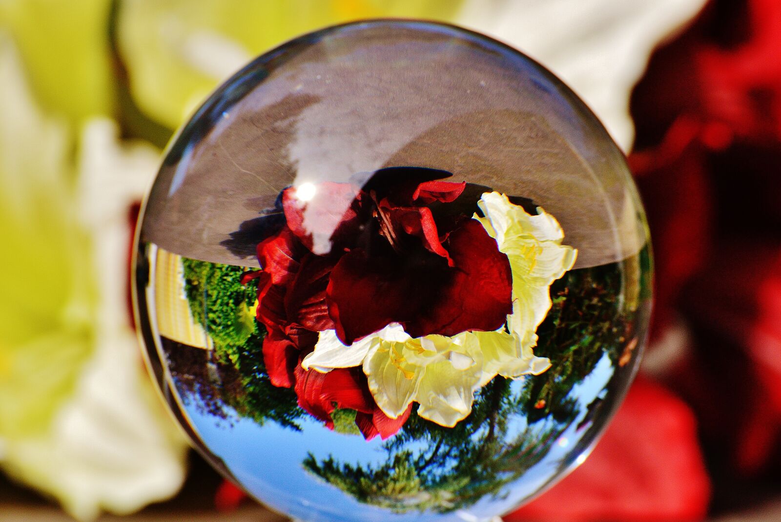 Nikon D3200 sample photo. Glass ball, ball, mirroring photography