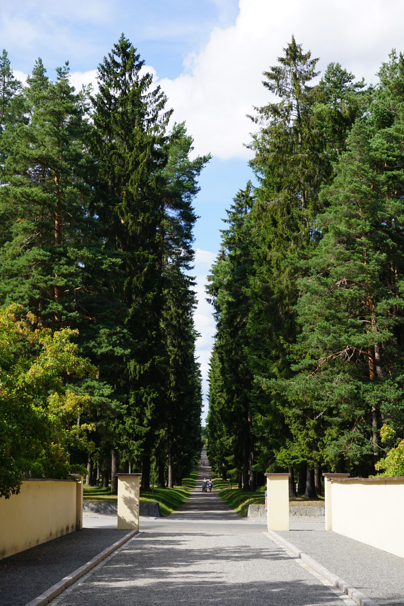 Sony E 16-50mm F3.5-5.6 PZ OSS sample photo. Forest, allee, park photography