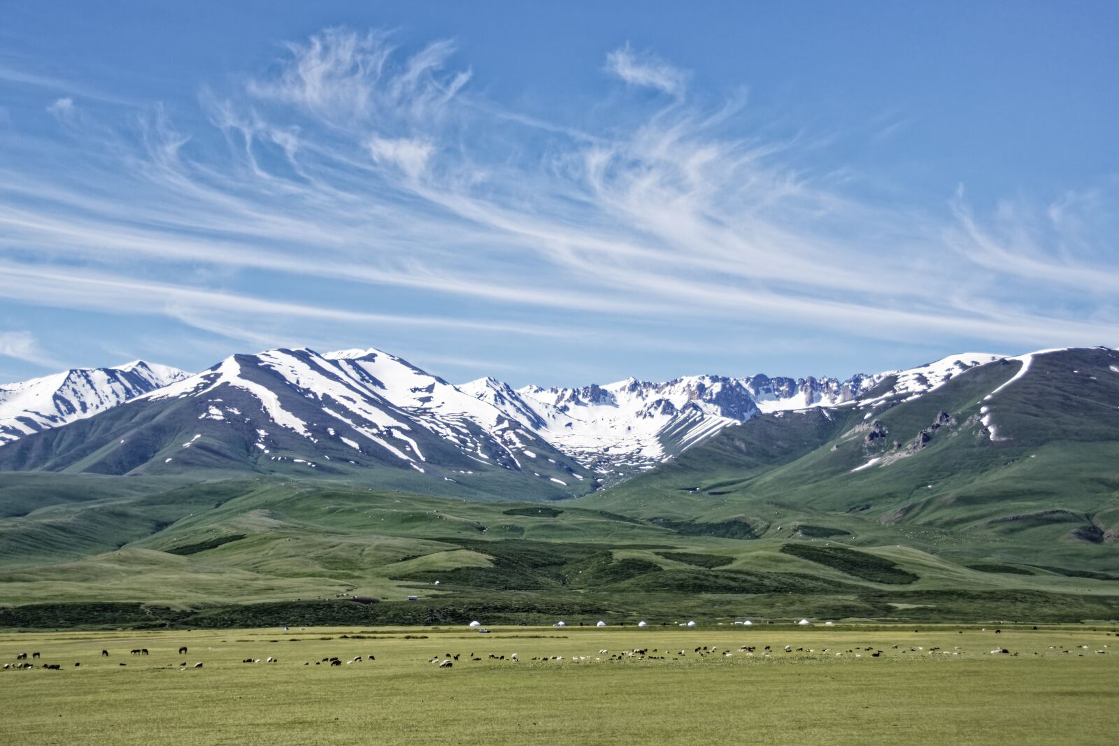 Nikon D500 sample photo. Kyrgyzstan, alabel pass, pass photography
