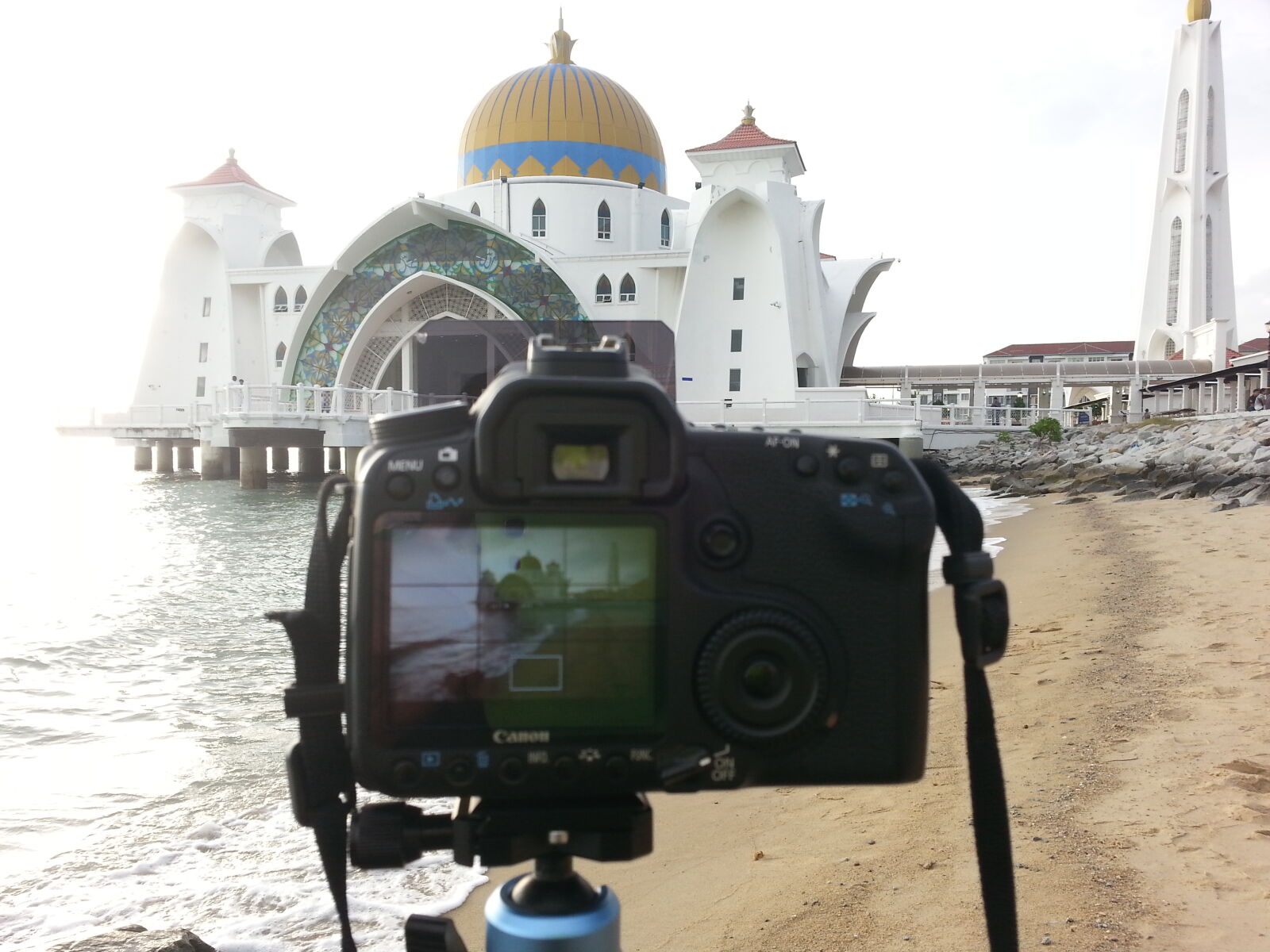 Samsung Galaxy S3 sample photo