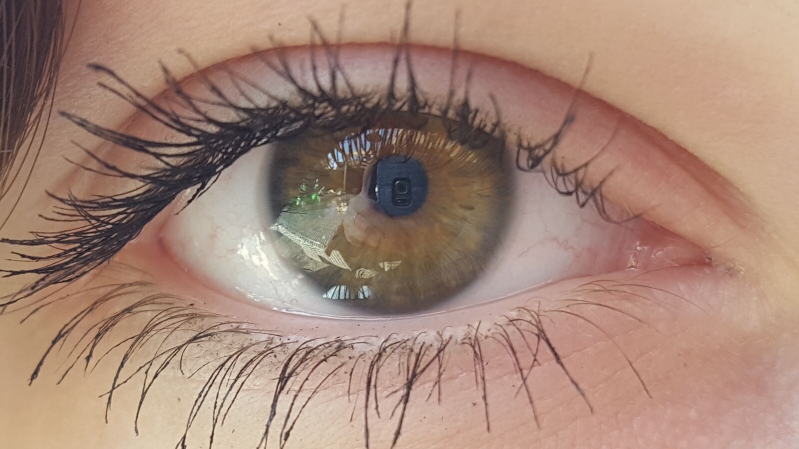 Samsung GALAXY S6 edge sample photo. Eye, watch, green photography