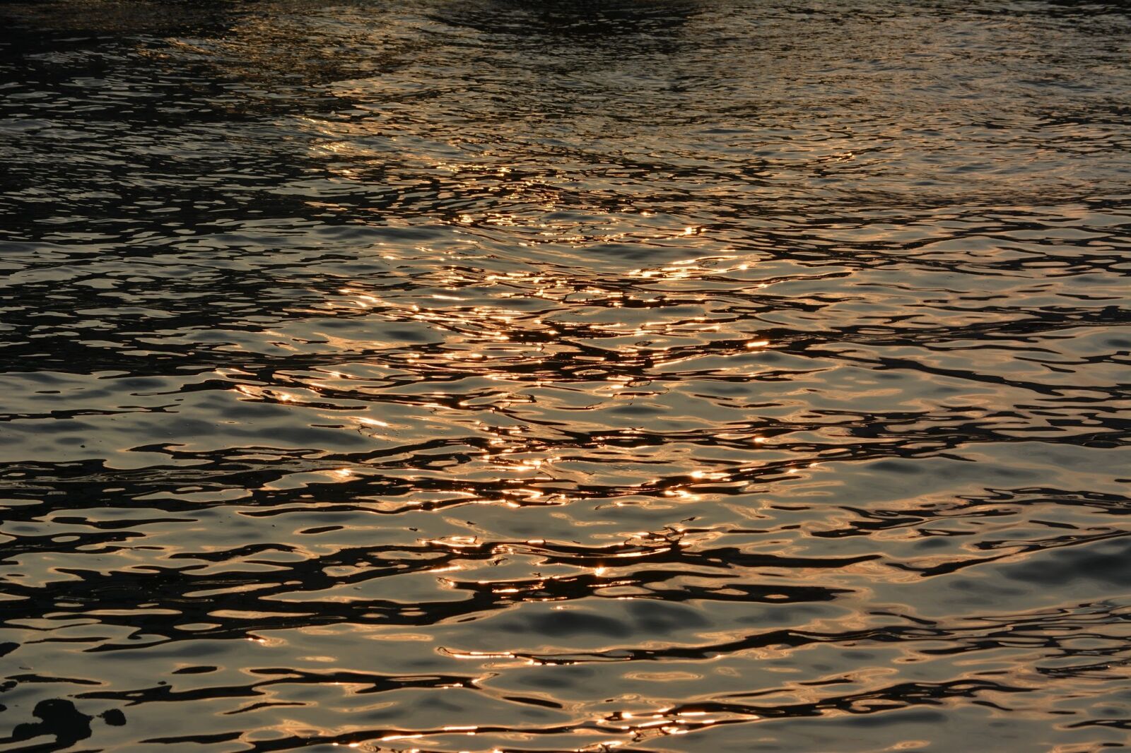 Nikon D5200 sample photo. Water, river, sunset photography