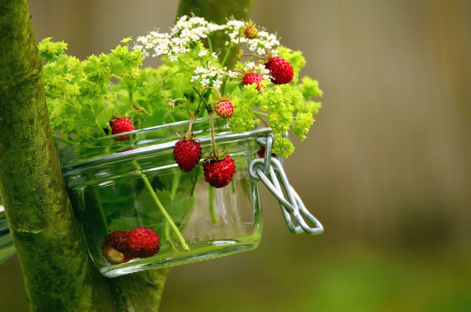 Nikon D5100 sample photo. Raspberry, elderberry, glass, wood photography