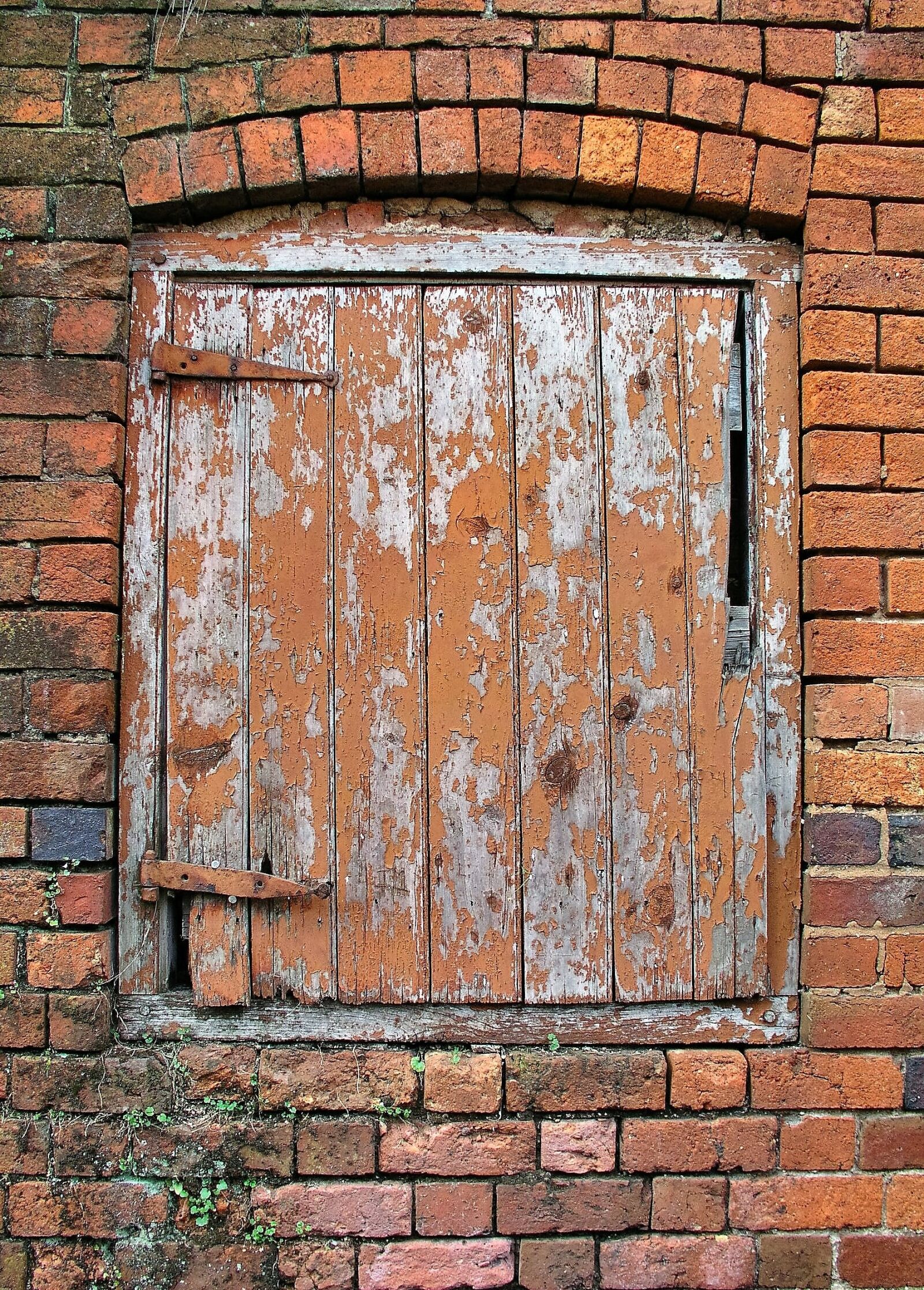 Olympus C5050Z sample photo. Door, wood, old wall photography