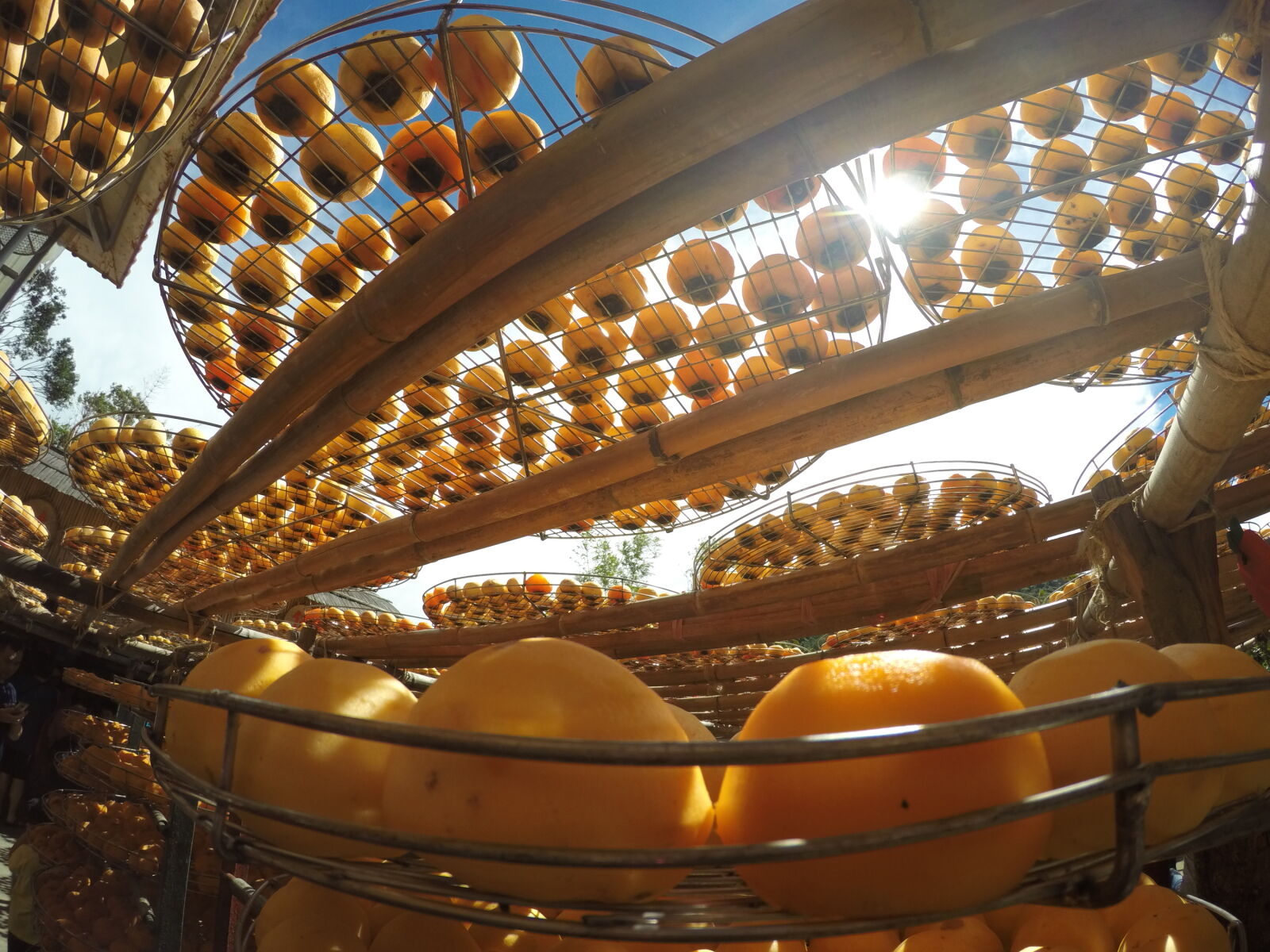 GoPro HERO4 Silver sample photo. Dried, fruits, persimmon, taiwan photography