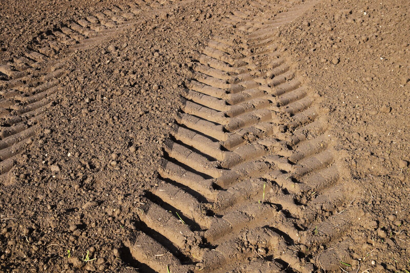 Nikon D3300 sample photo. Trace, tractor track, agriculture photography