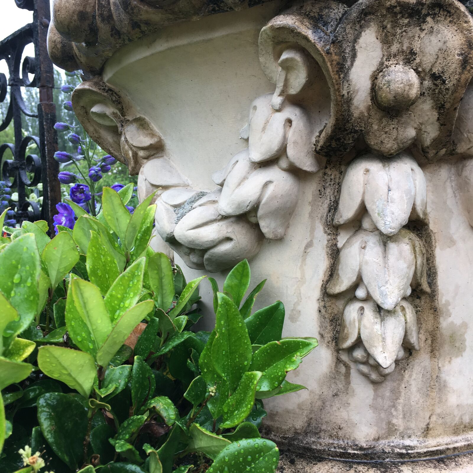 iPhone SE back camera 4.15mm f/2.2 sample photo. Urn, garden, garden urn photography
