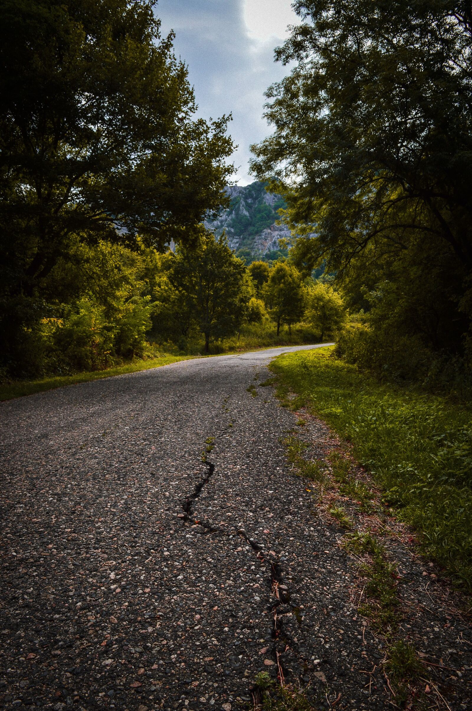Nikon D3200 sample photo. Road, mountain, trees photography