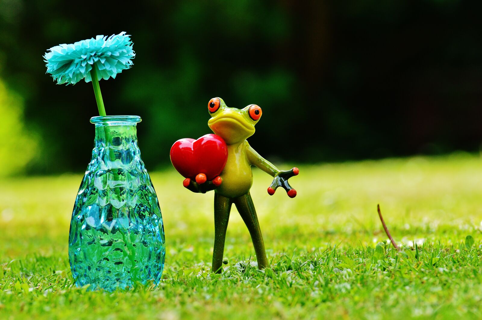 Nikon D3200 sample photo. Frog, love, valentine's day photography