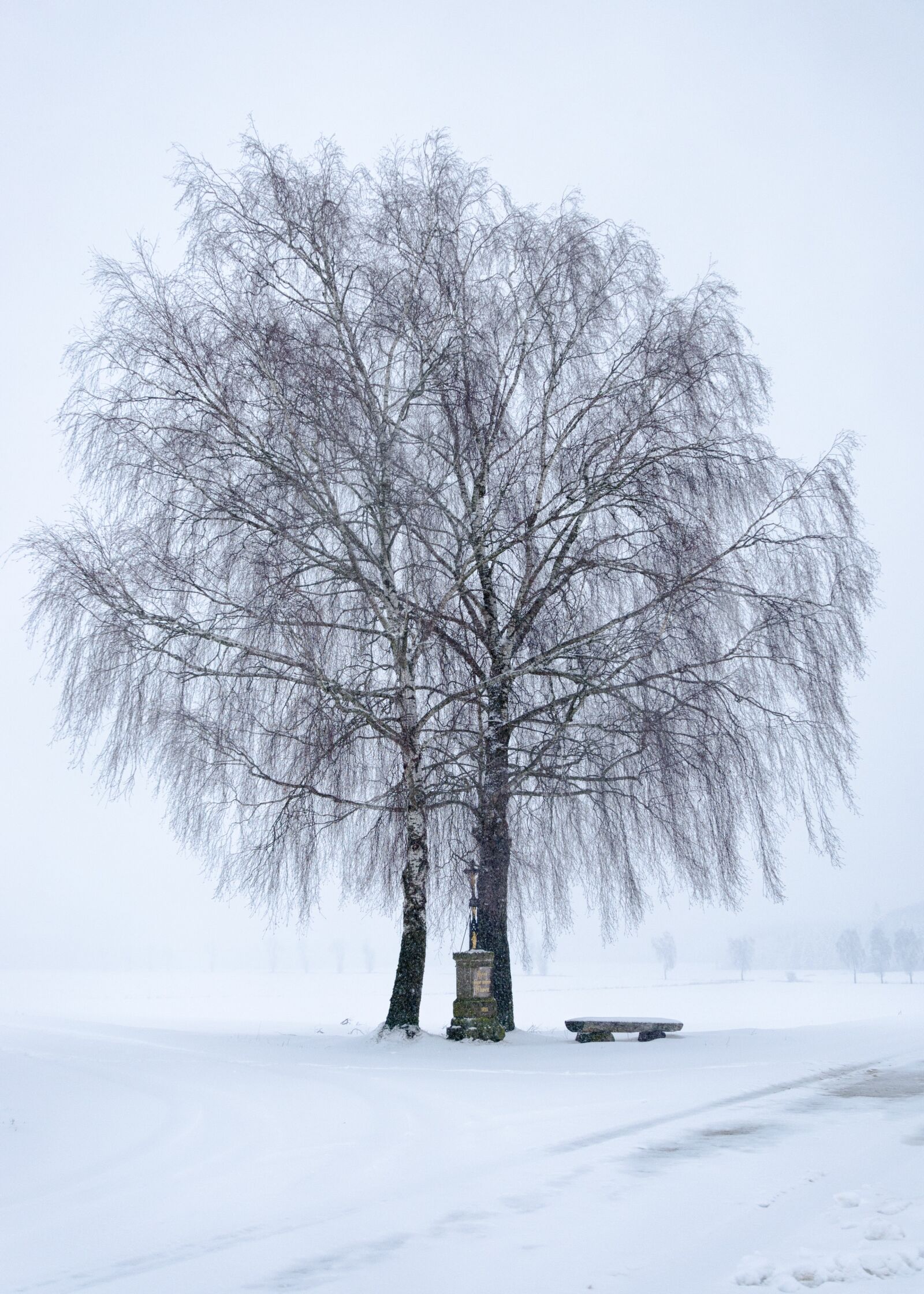 Nikon D5100 sample photo. Snow, winter, frost photography