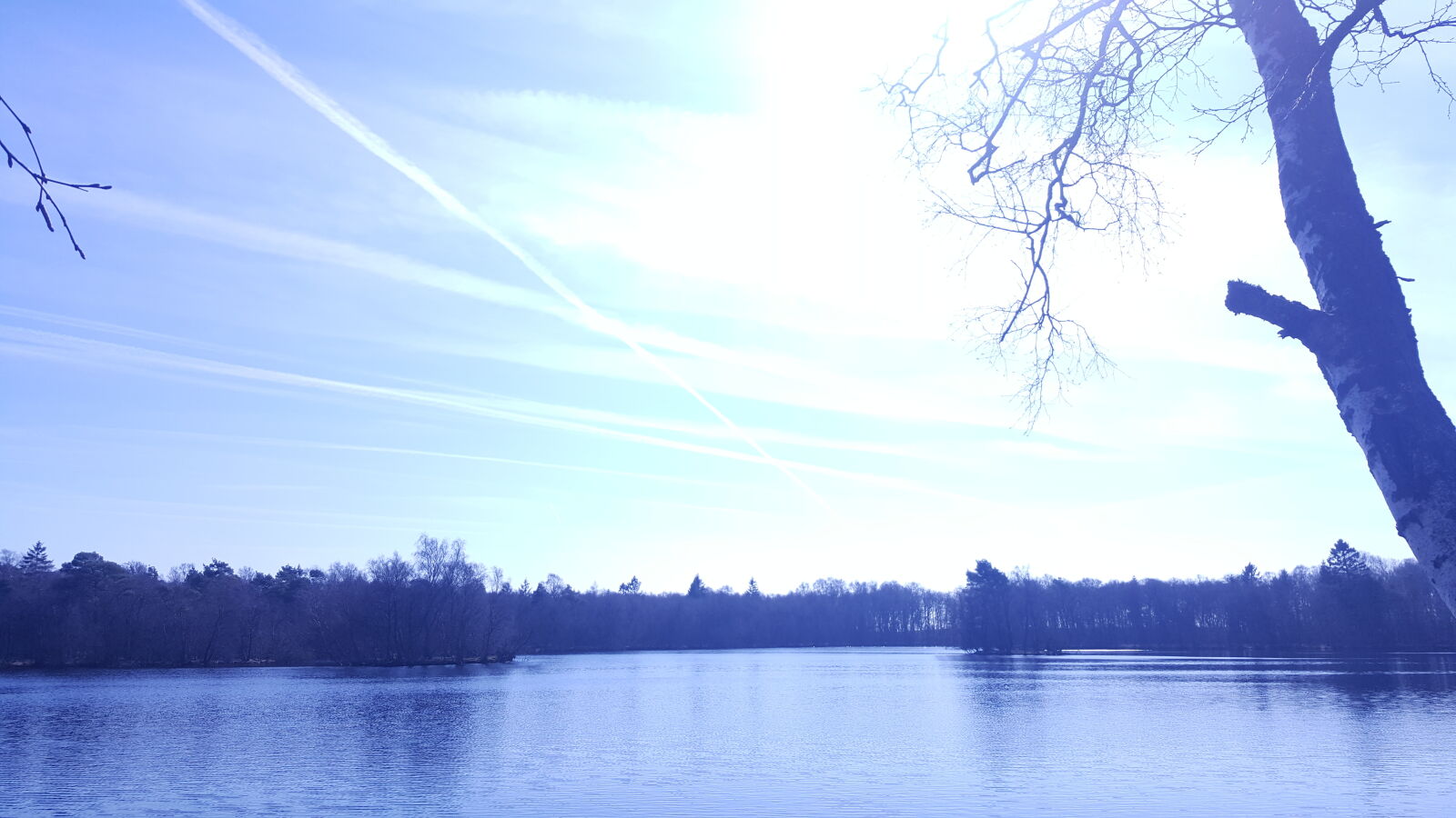 Samsung GALAXY S6 edge sample photo