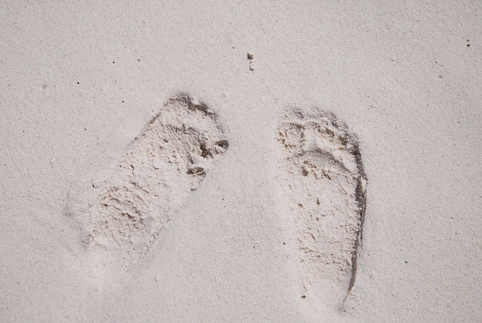 Nikon D80 sample photo. The sea, maldives, views photography