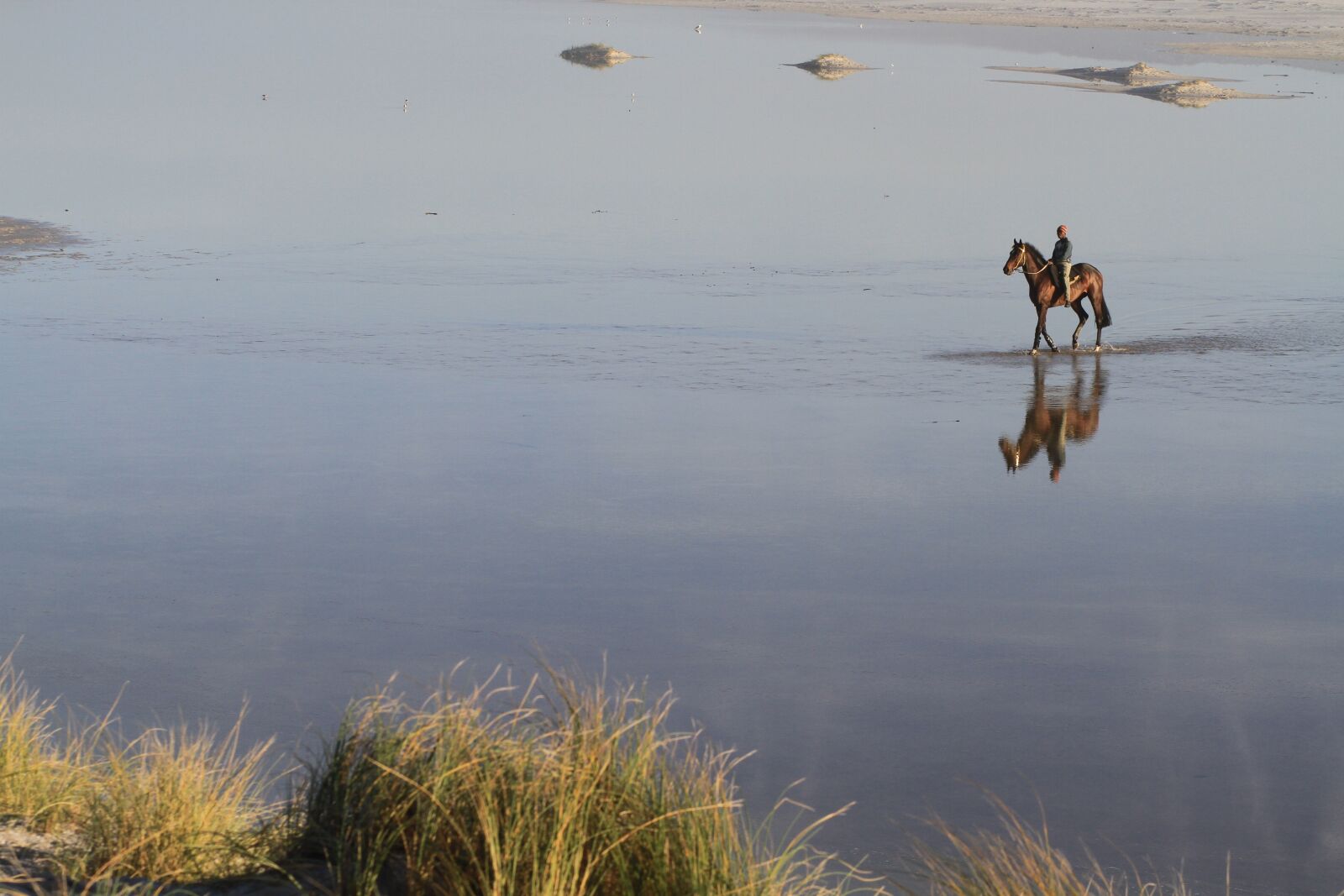 Canon EOS 7D sample photo. Horse, lagoon, riding photography