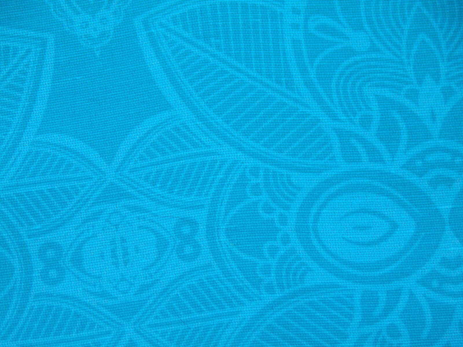 JK KODAK PIXPRO AZ422 sample photo. Fabric, print, texture photography
