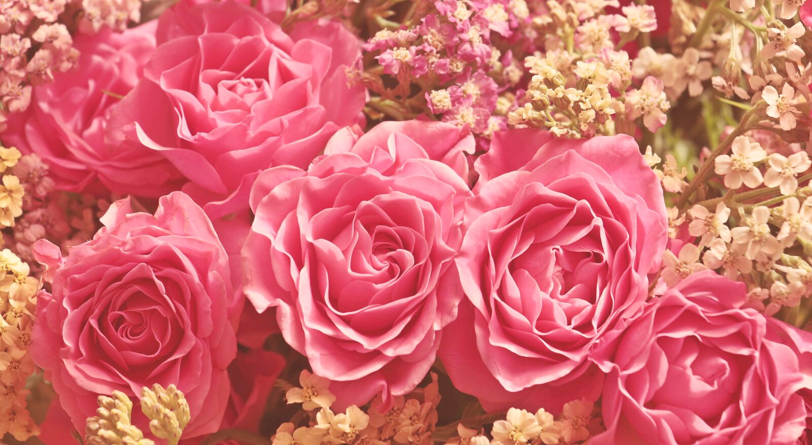 Canon EOS 100D (EOS Rebel SL1 / EOS Kiss X7) sample photo. Roses, noble roses, romantic photography