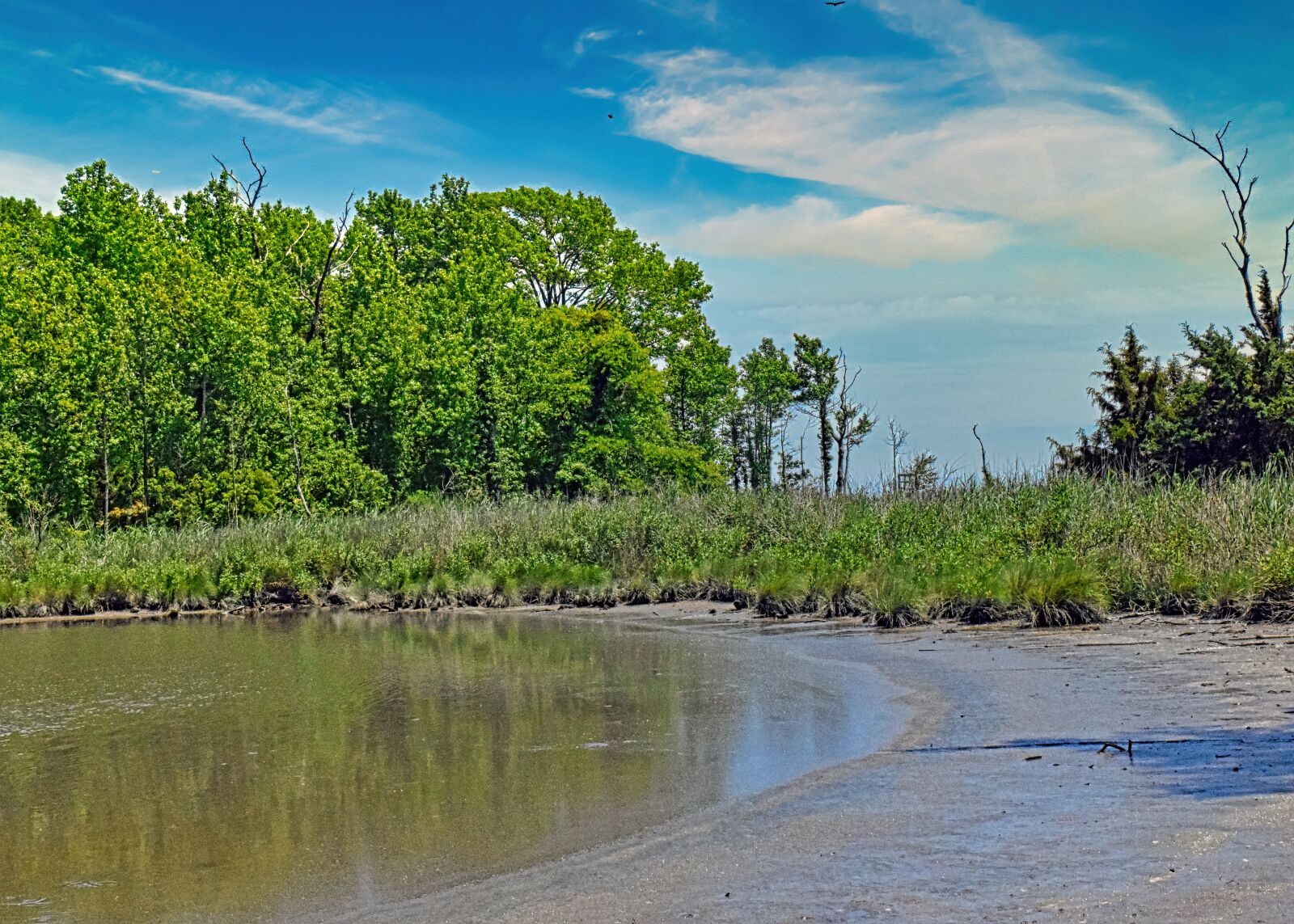 Nikon D3300 sample photo. Wetland, marsh, mud photography