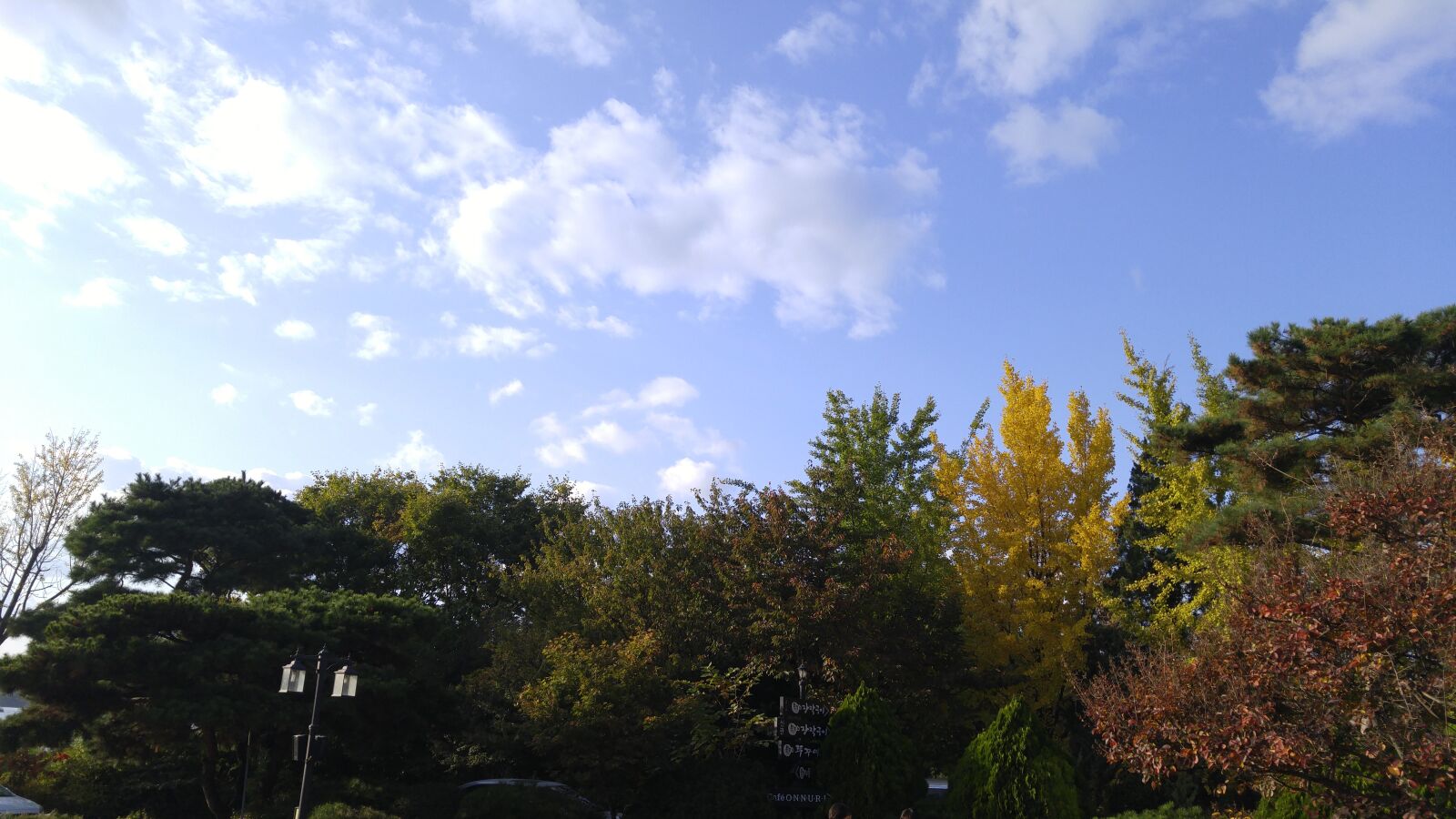 LG G4 sample photo. Autumn sky, autumn leaves photography