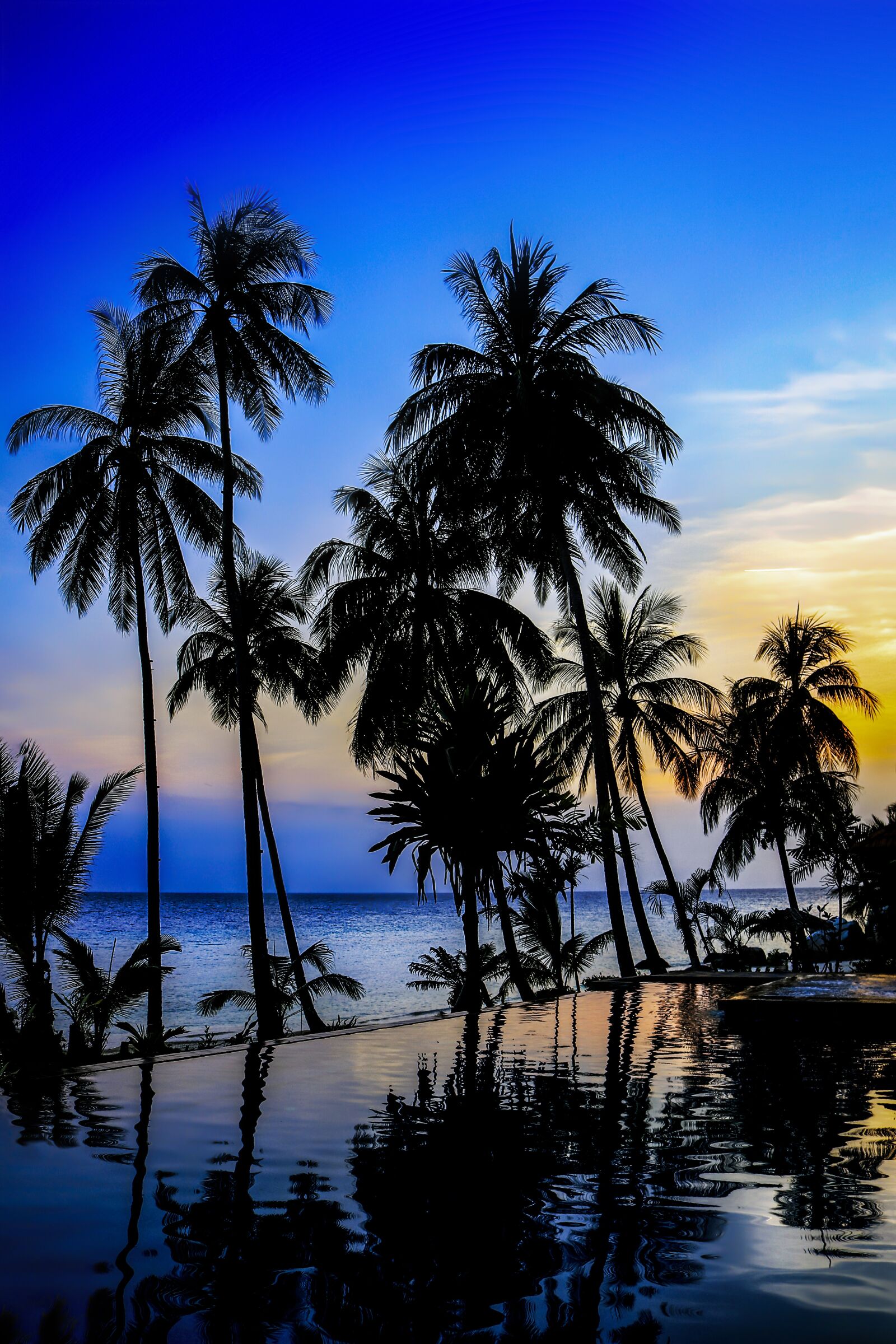 Canon EOS 750D (EOS Rebel T6i / EOS Kiss X8i) sample photo. Palm, beach, tropical photography