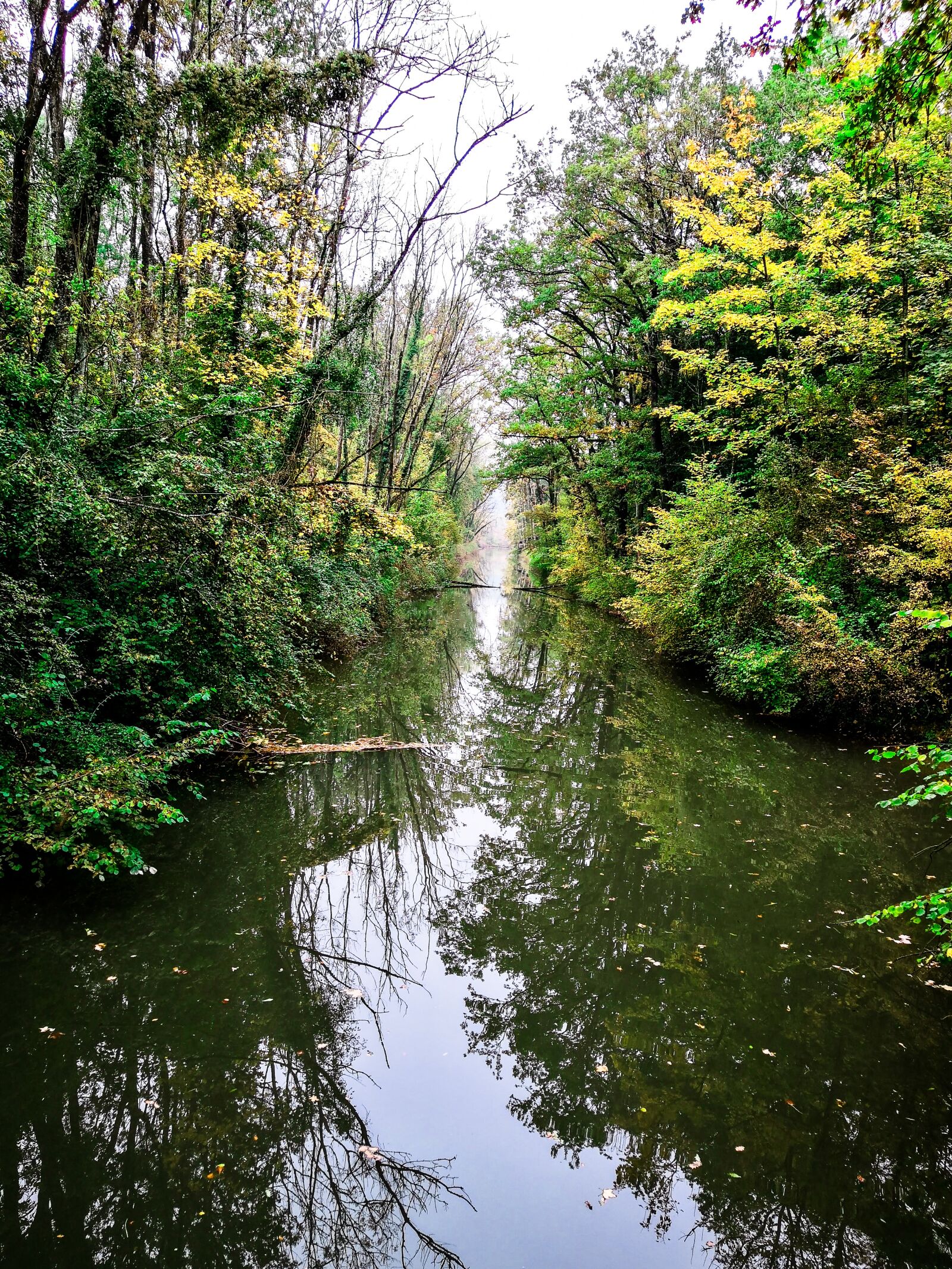 HUAWEI Honor View 10 sample photo. Switzerland, river, trees photography