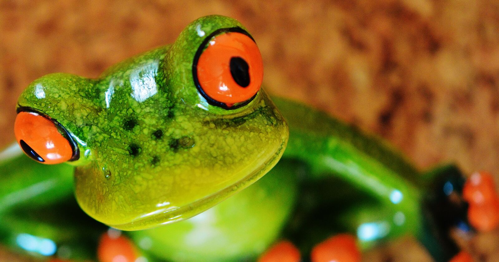 Nikon D3200 sample photo. Frog, funny, figure photography