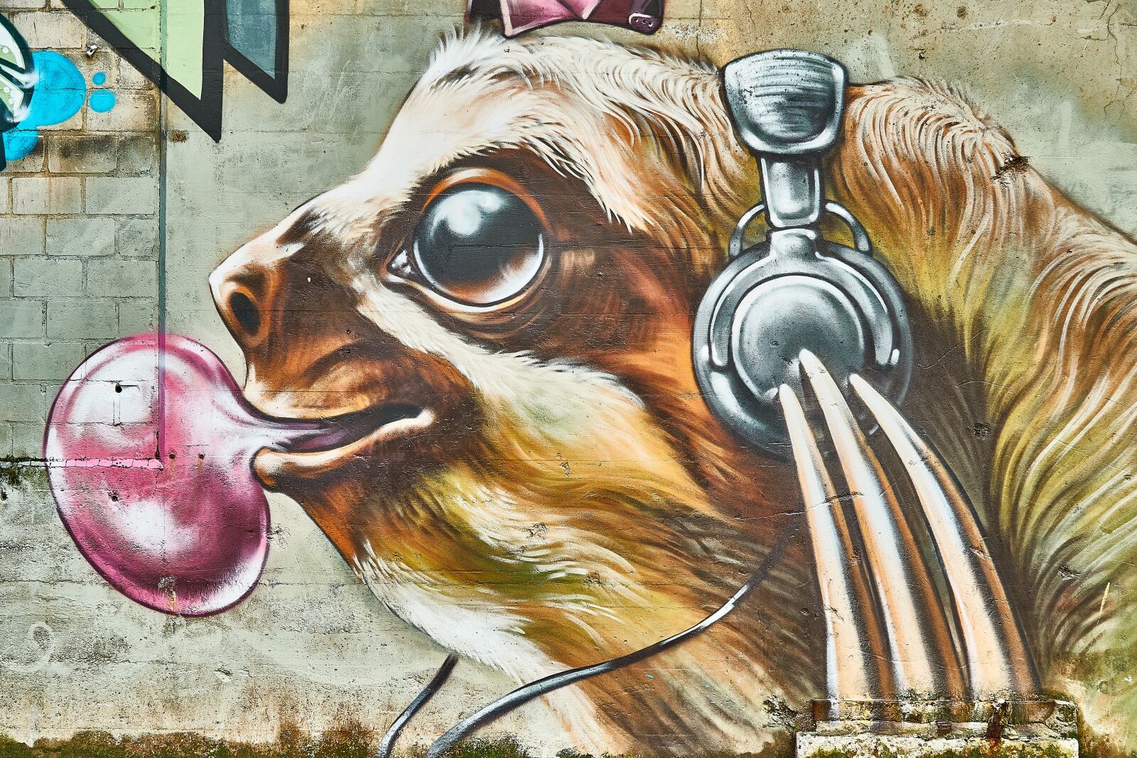 Sony FE 70-300mm F4.5-5.6 G OSS sample photo. Graffiti, art, sloth photography
