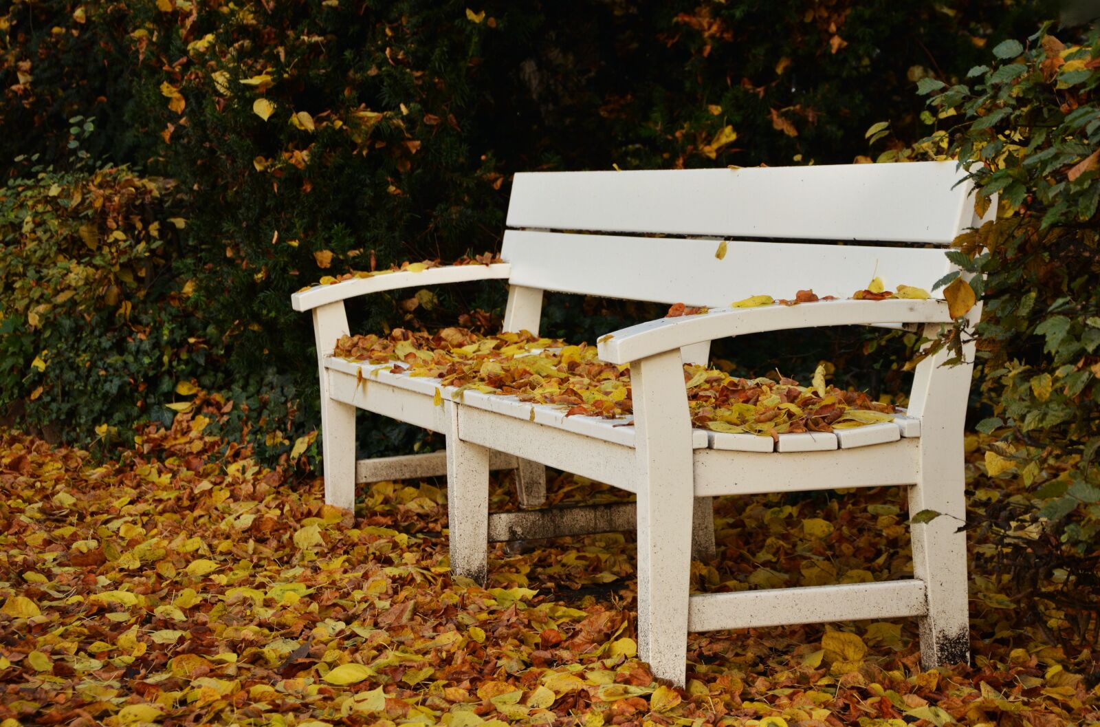 Nikon D5200 sample photo. Park bench, autumn, leaf photography