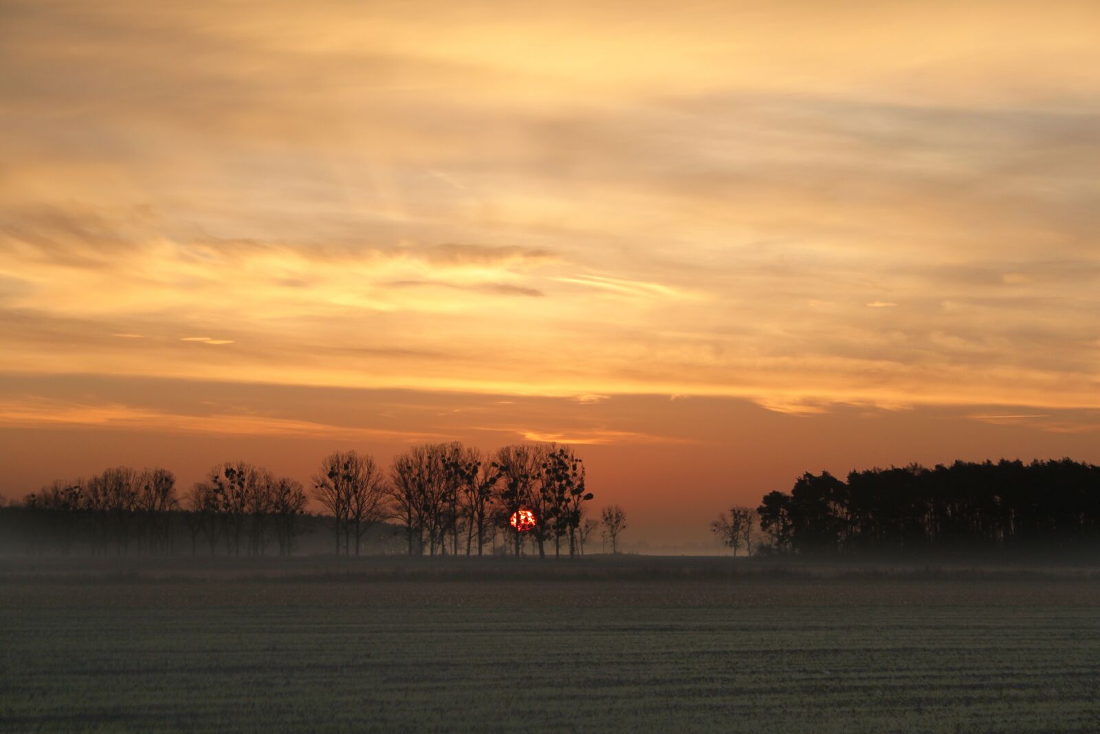 Canon EOS 500D (EOS Rebel T1i / EOS Kiss X3) sample photo. Sunrise, the sun, orange photography