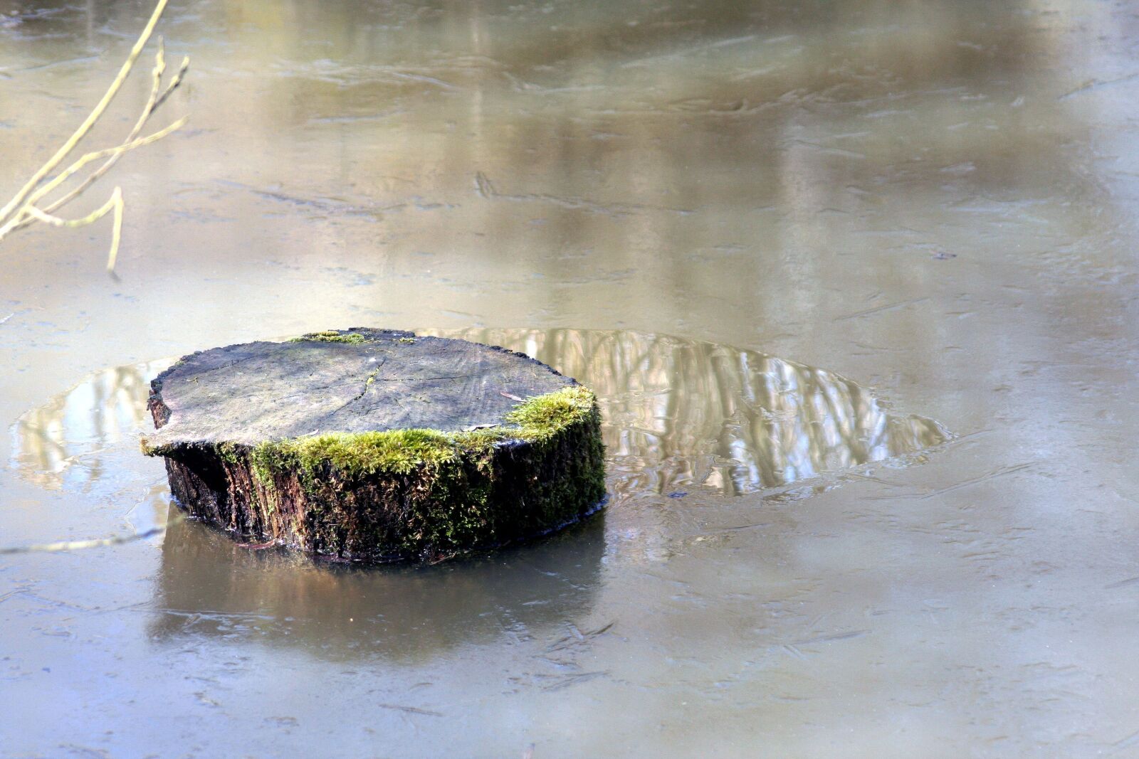Canon EOS 350D (EOS Digital Rebel XT / EOS Kiss Digital N) sample photo. Wood, water, ice photography