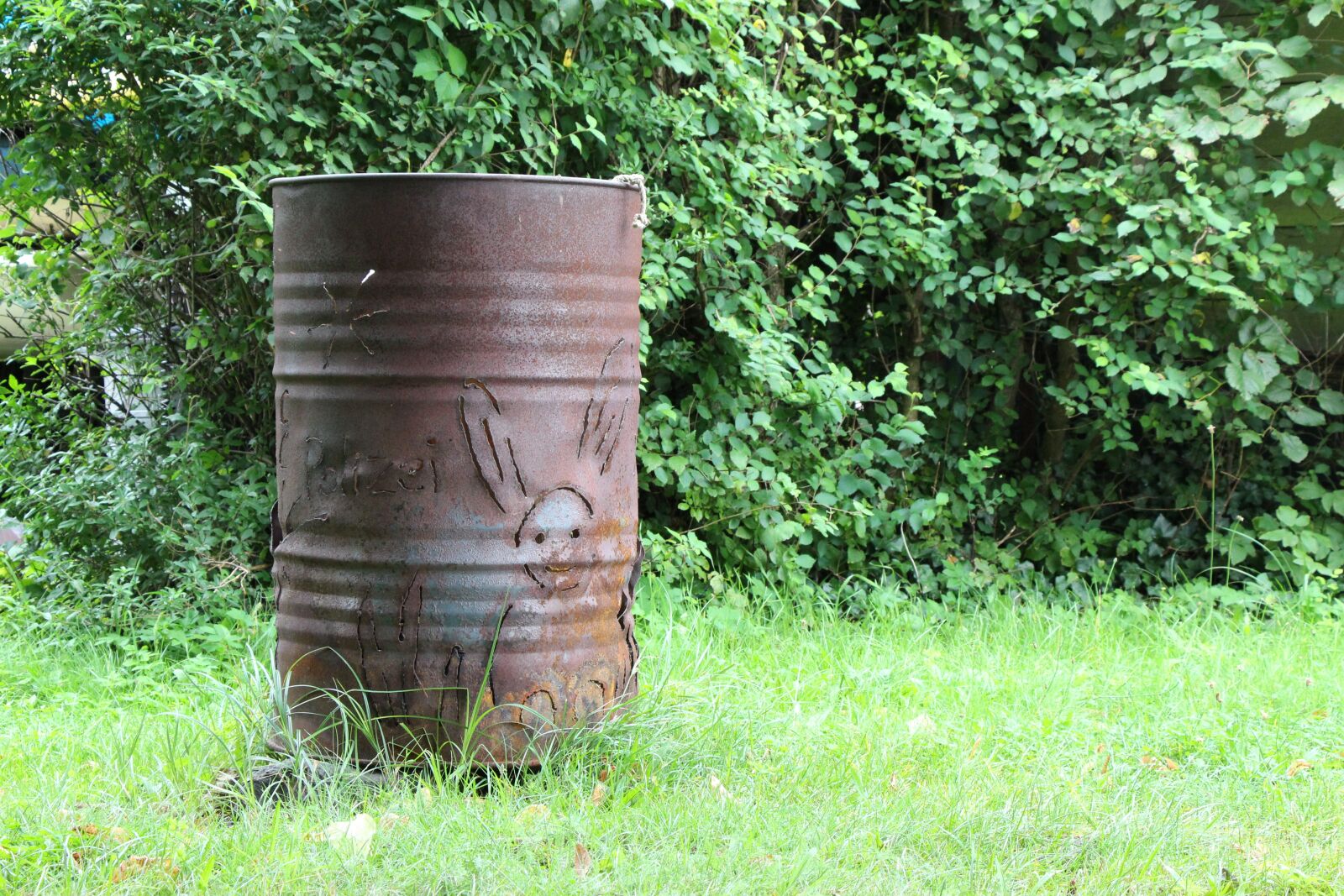 Canon EOS 650D (EOS Rebel T4i / EOS Kiss X6i) sample photo. Ton, meadow, green photography