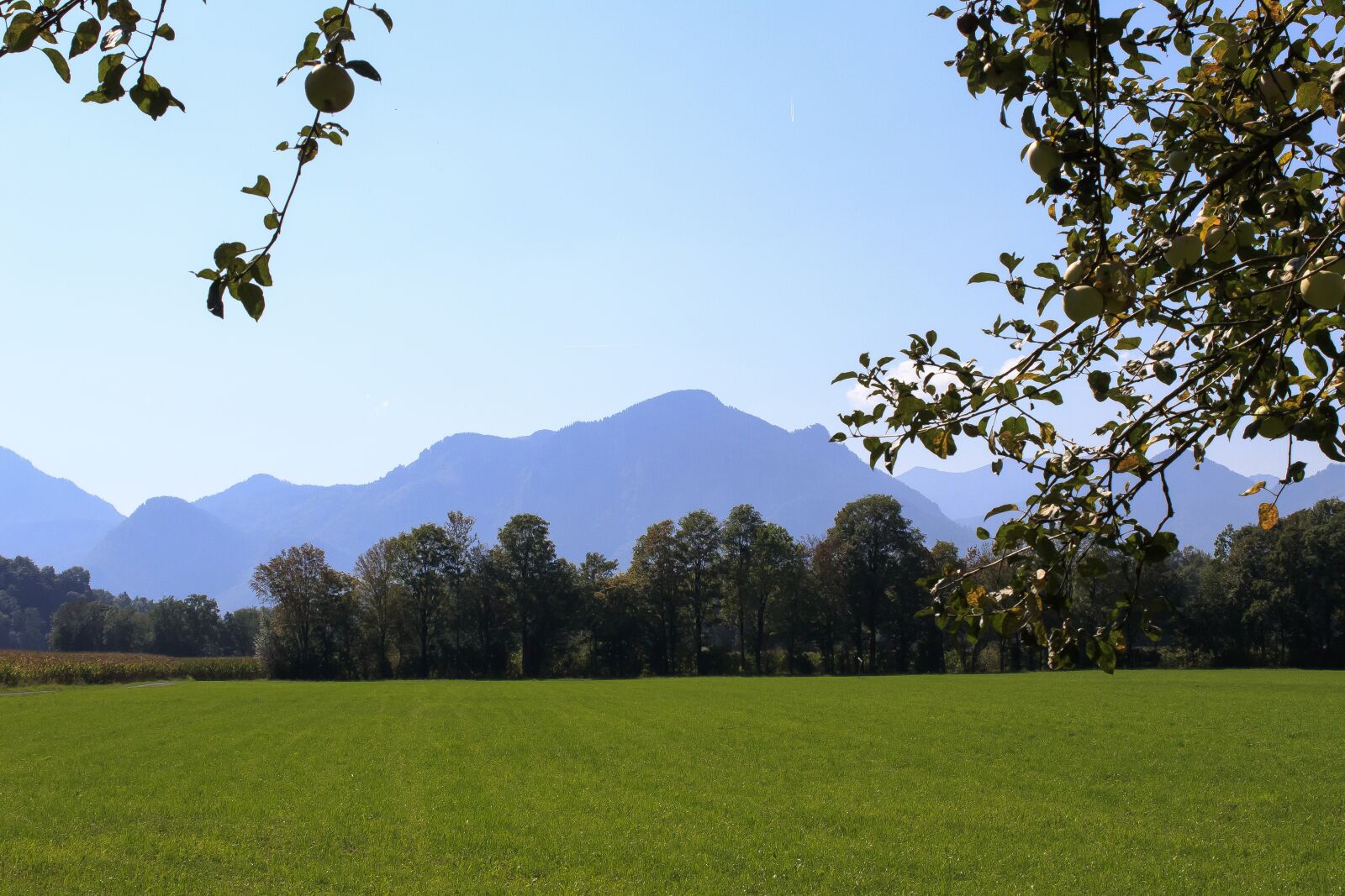 Canon EOS 1300D (EOS Rebel T6 / EOS Kiss X80) sample photo. Heuberg, inntal valley, chiemgau photography