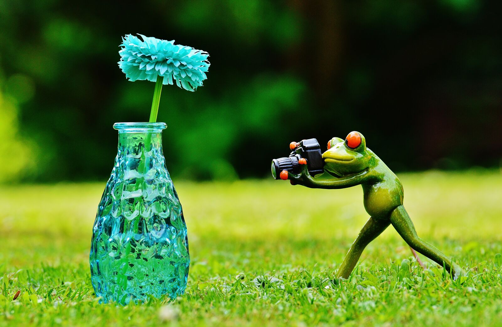 Nikon D3200 sample photo. Vase, flower, frog photography