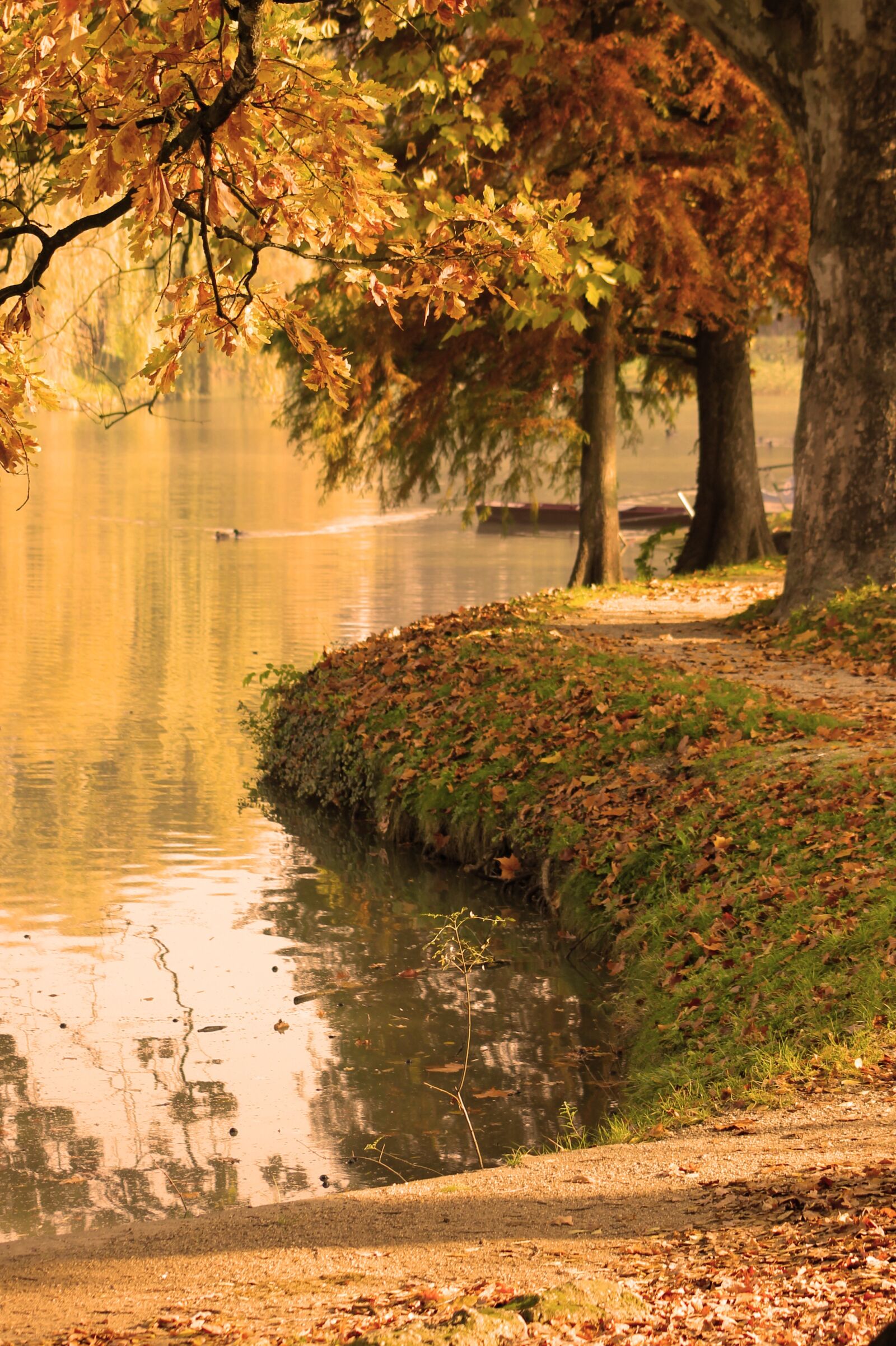 Canon EF 55-200mm F4.5-5.6 II USM sample photo. Autumn, lake, part photography