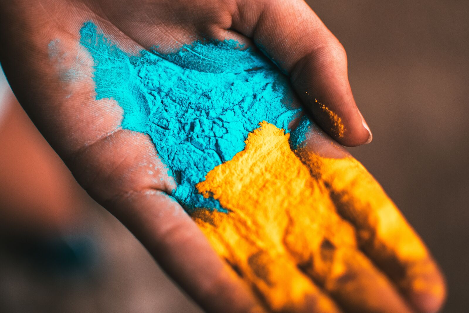 Nikon D5300 sample photo. Holi, hand, color photography