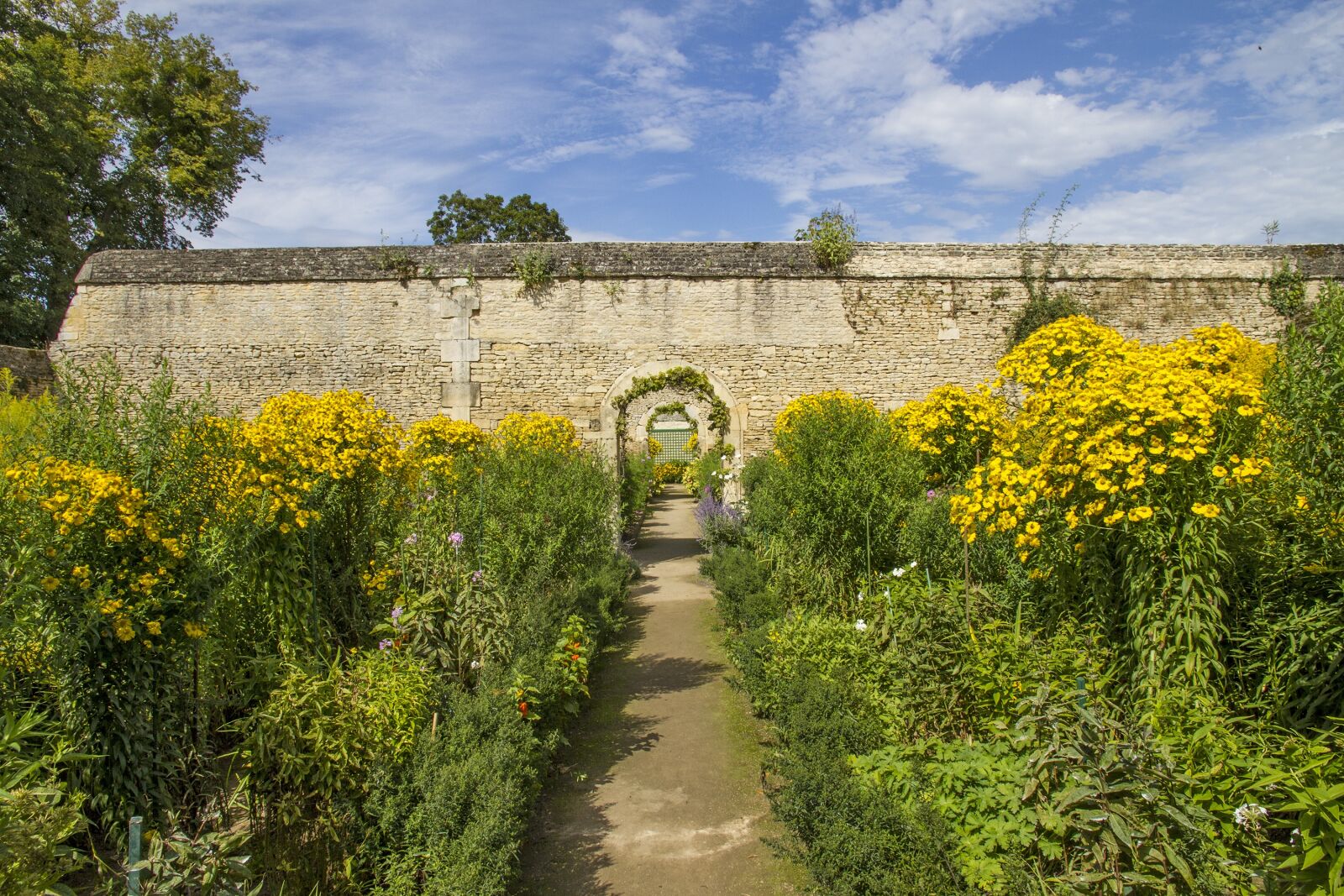 Canon EOS 7D sample photo. The castle of canon photography