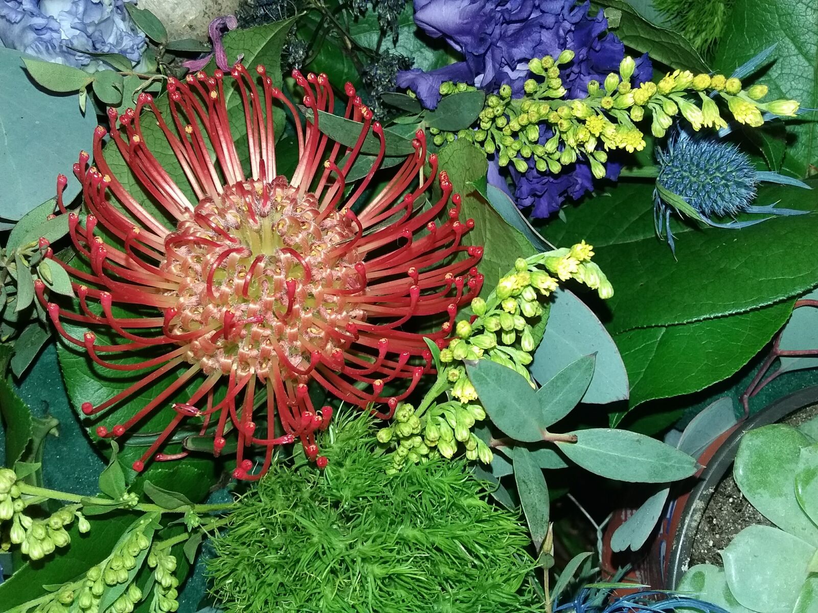Samsung Galaxy J3(2016) sample photo