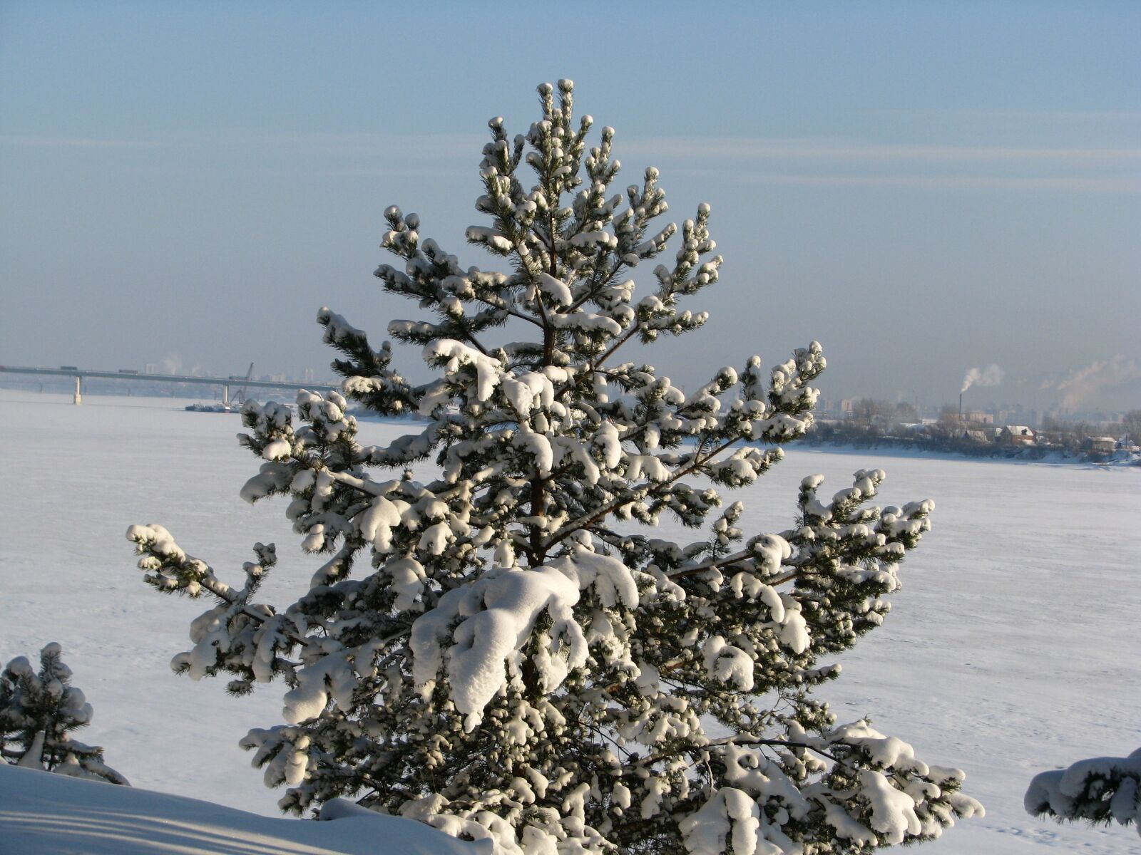 Canon POWERSHOT S5 IS sample photo. Winter, ice, frost photography
