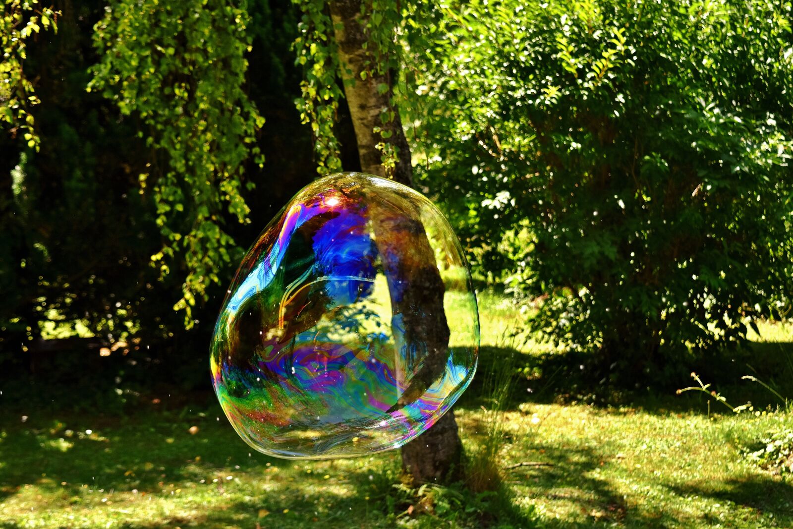 Nikon D7200 sample photo. Huge, soap bubble, puste photography