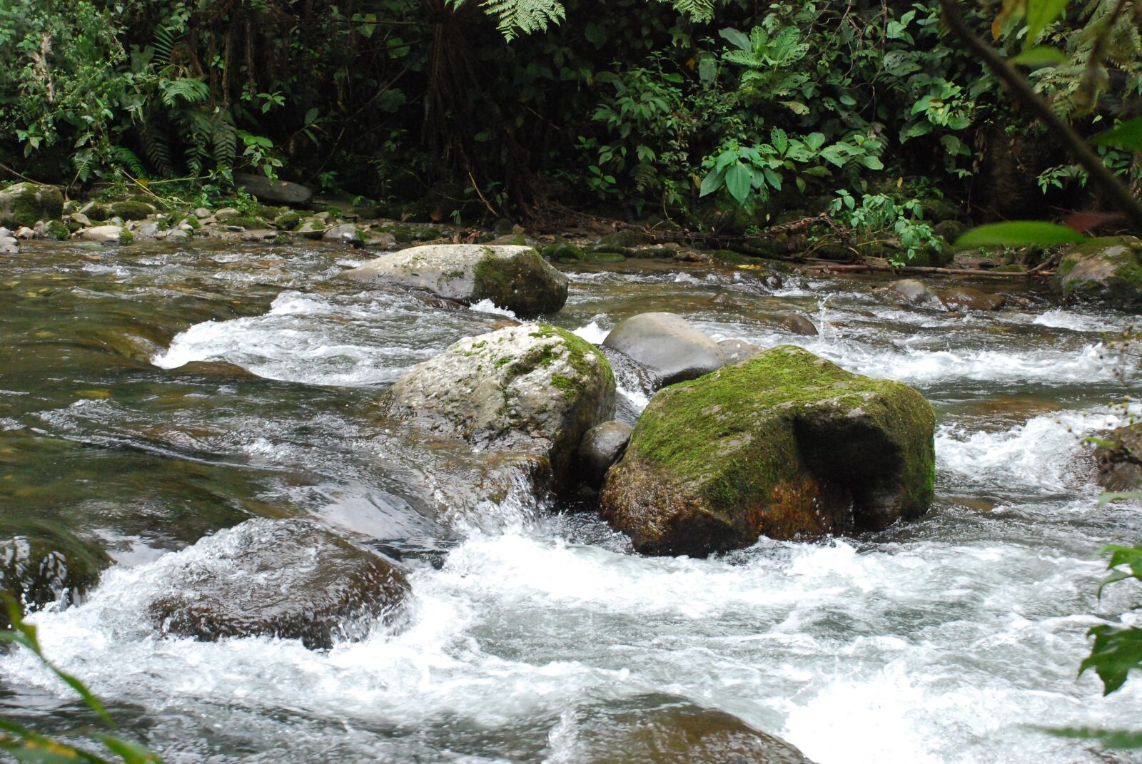 Nikon D80 sample photo. Body of water, waterfall photography