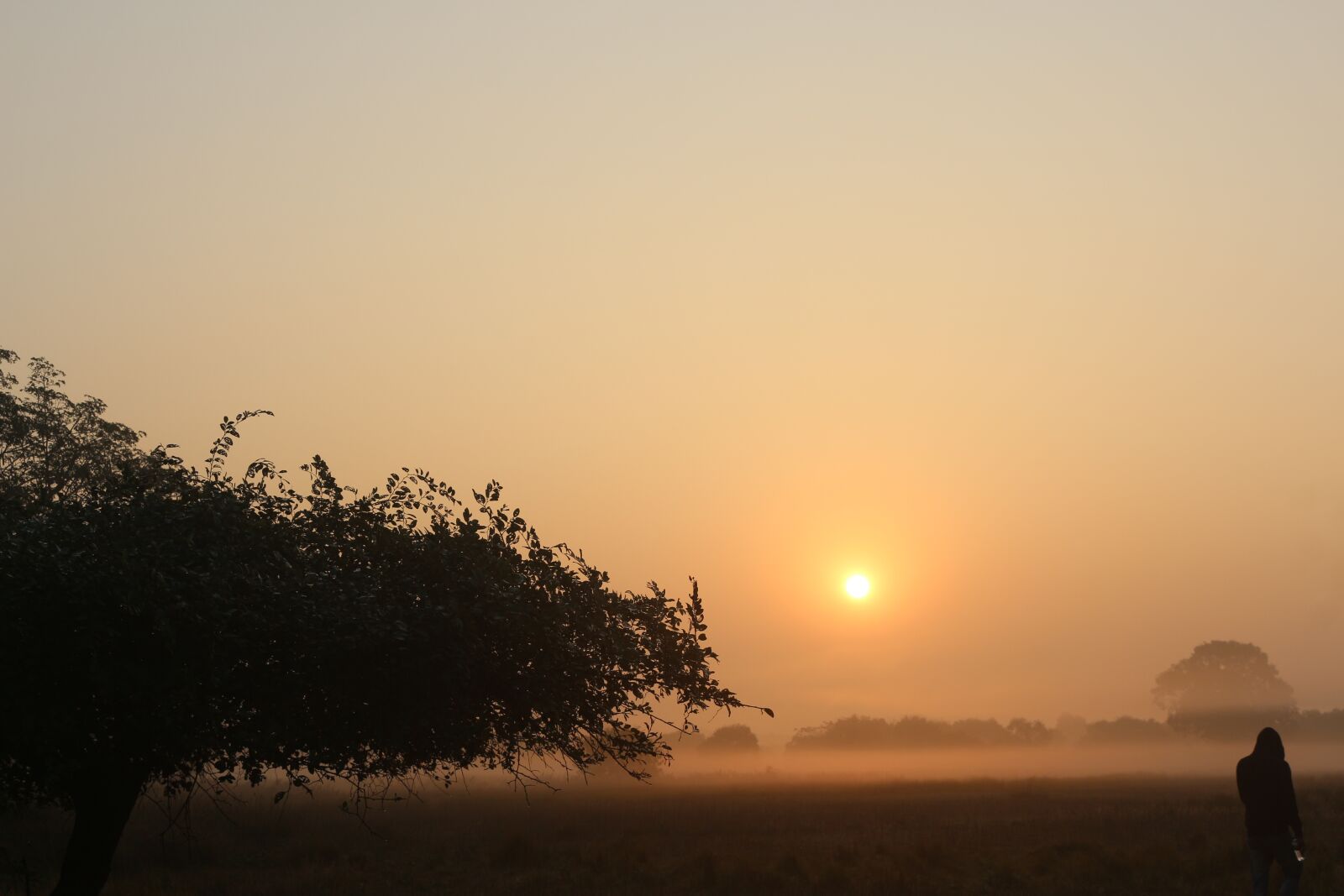 Canon EOS 700D (EOS Rebel T5i / EOS Kiss X7i) sample photo. Sunset, dawn, fog photography