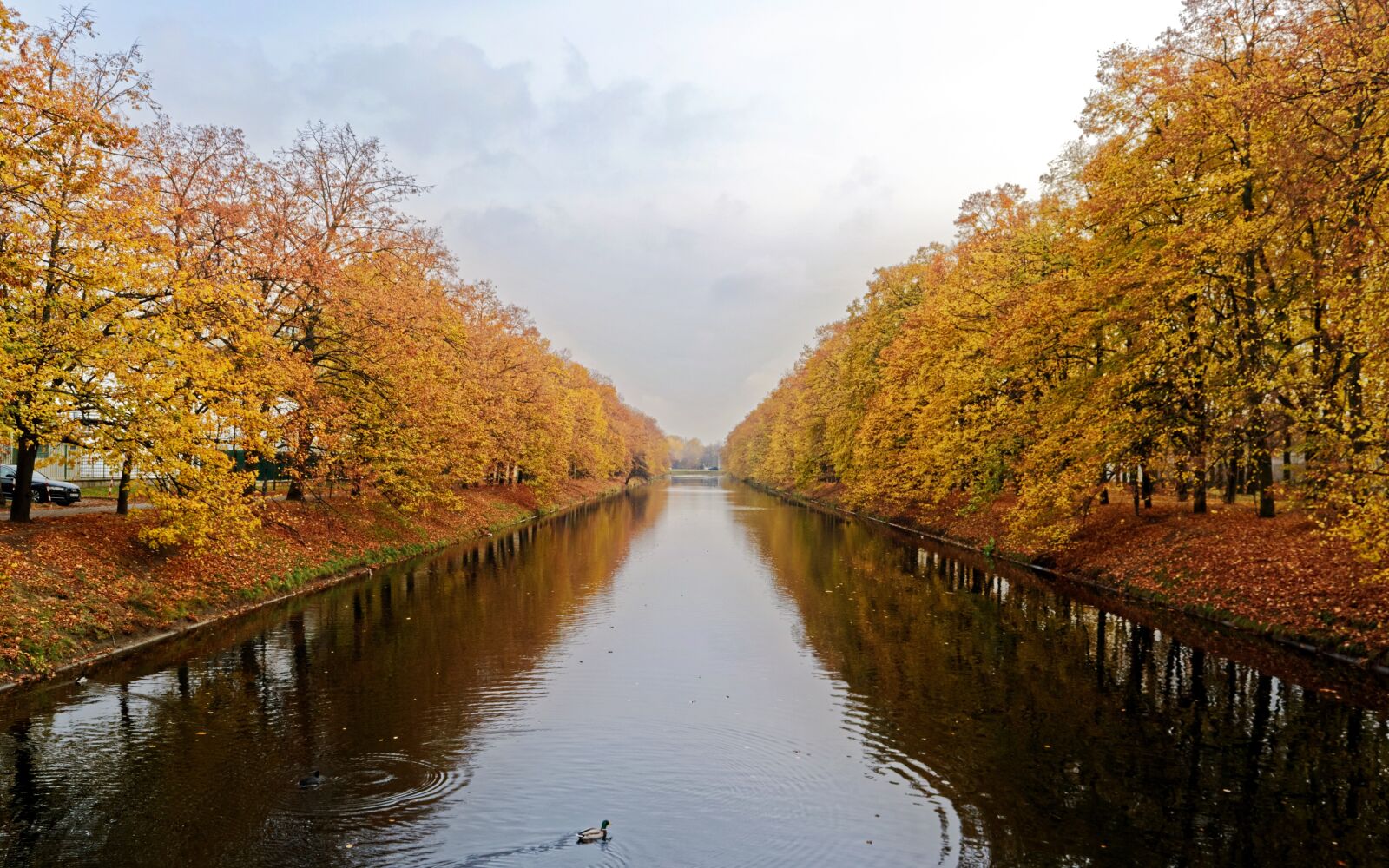 Nikon D3100 sample photo. Landscape, nature, autumn photography