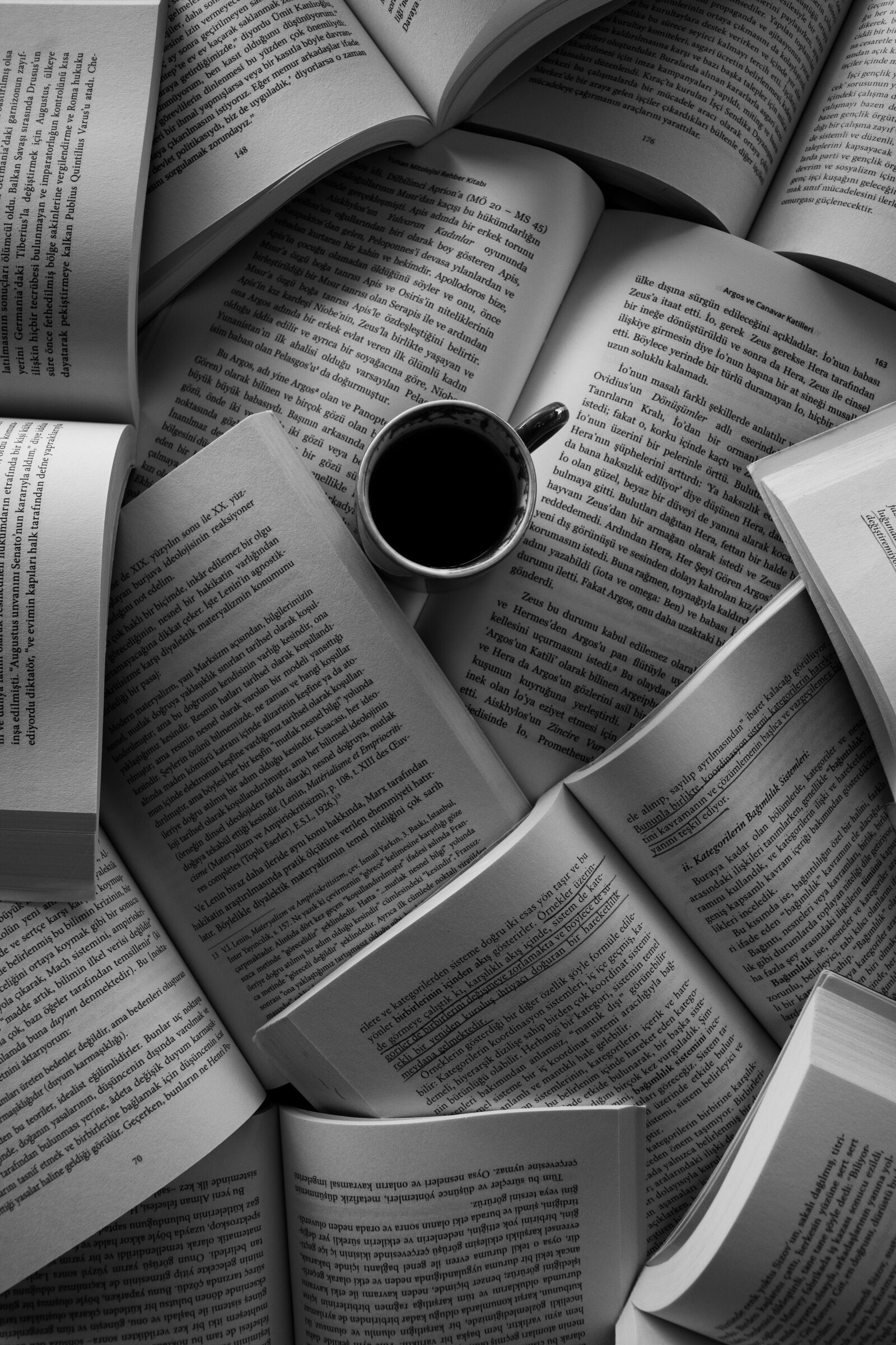 Nikon D5200 sample photo. Books, white and black photography