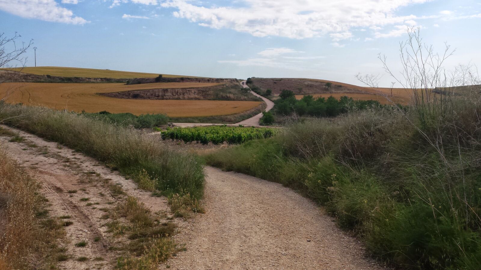 Samsung Galaxy S4 sample photo. Make a pilgrimage, jakobsweg photography