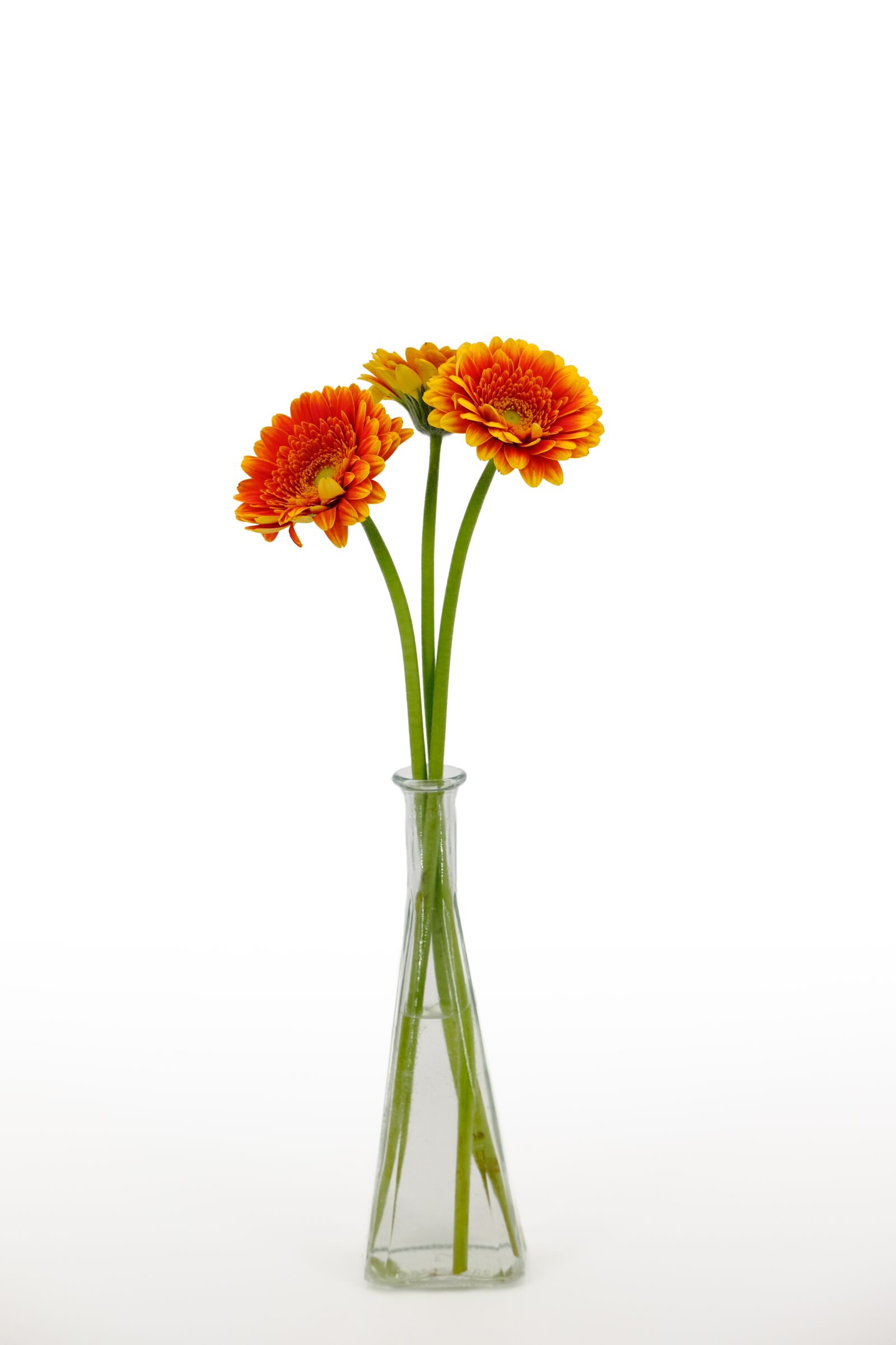 Fujifilm X-T2 + Fujifilm XF 35mm F2 R WR sample photo. Chrysanthemum, bouquet, flowers photography