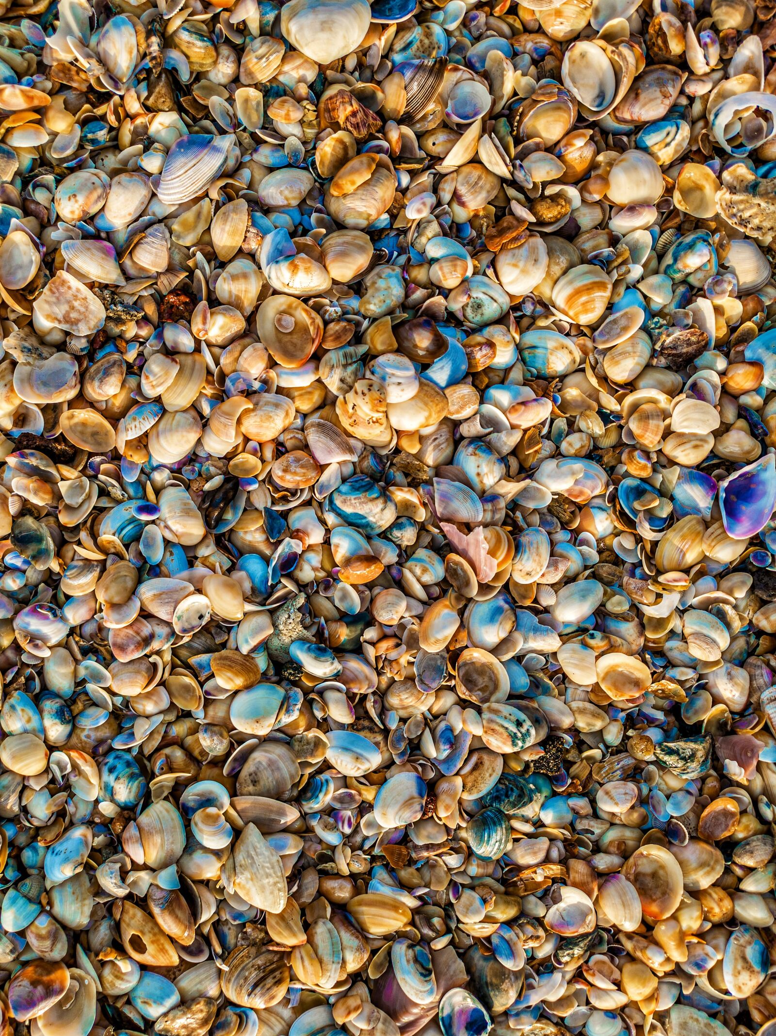 Google Pixel 3a sample photo. Sea, sand, coast photography