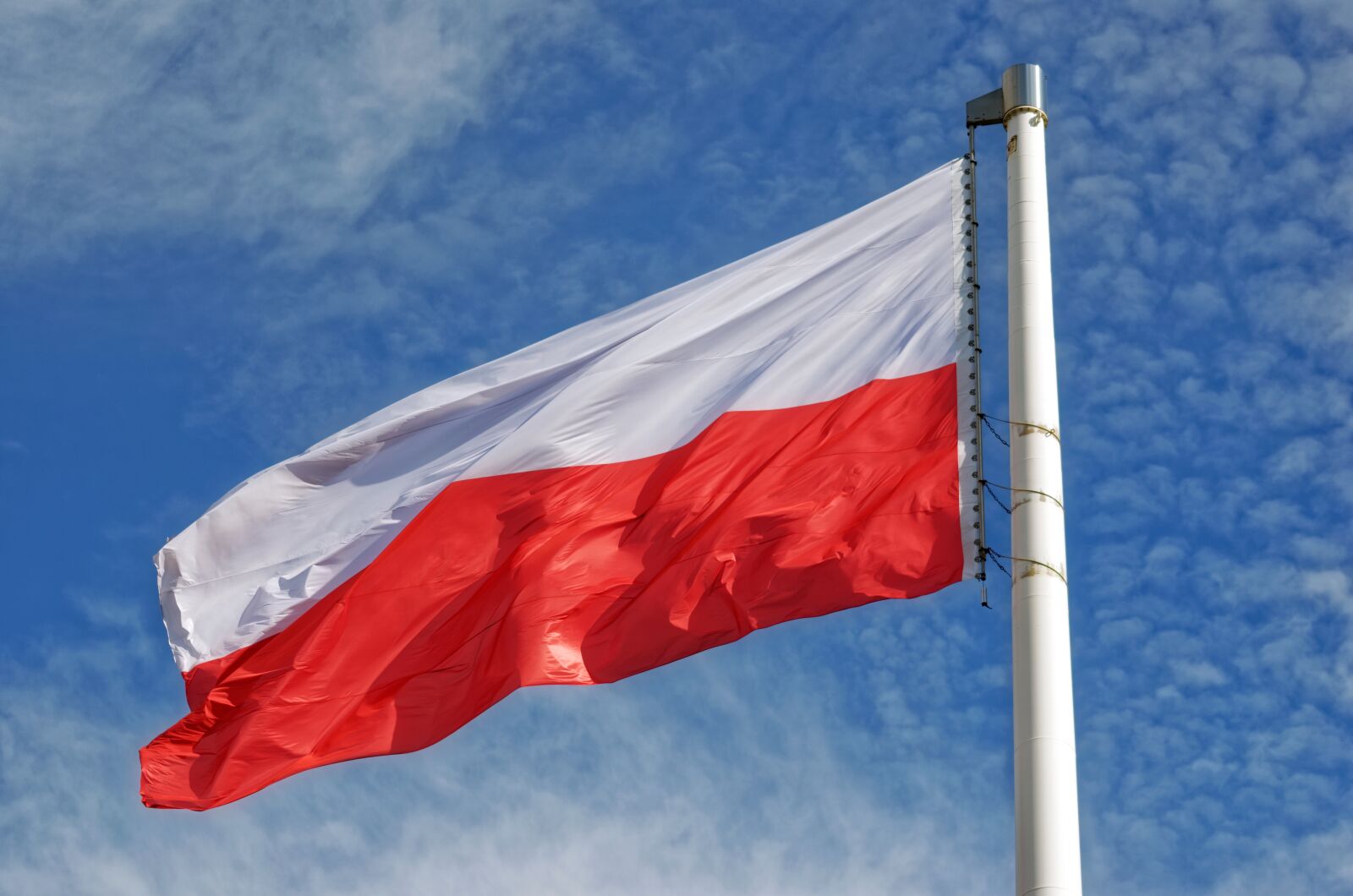 Nikon D5100 sample photo. Flag, the national, polish photography