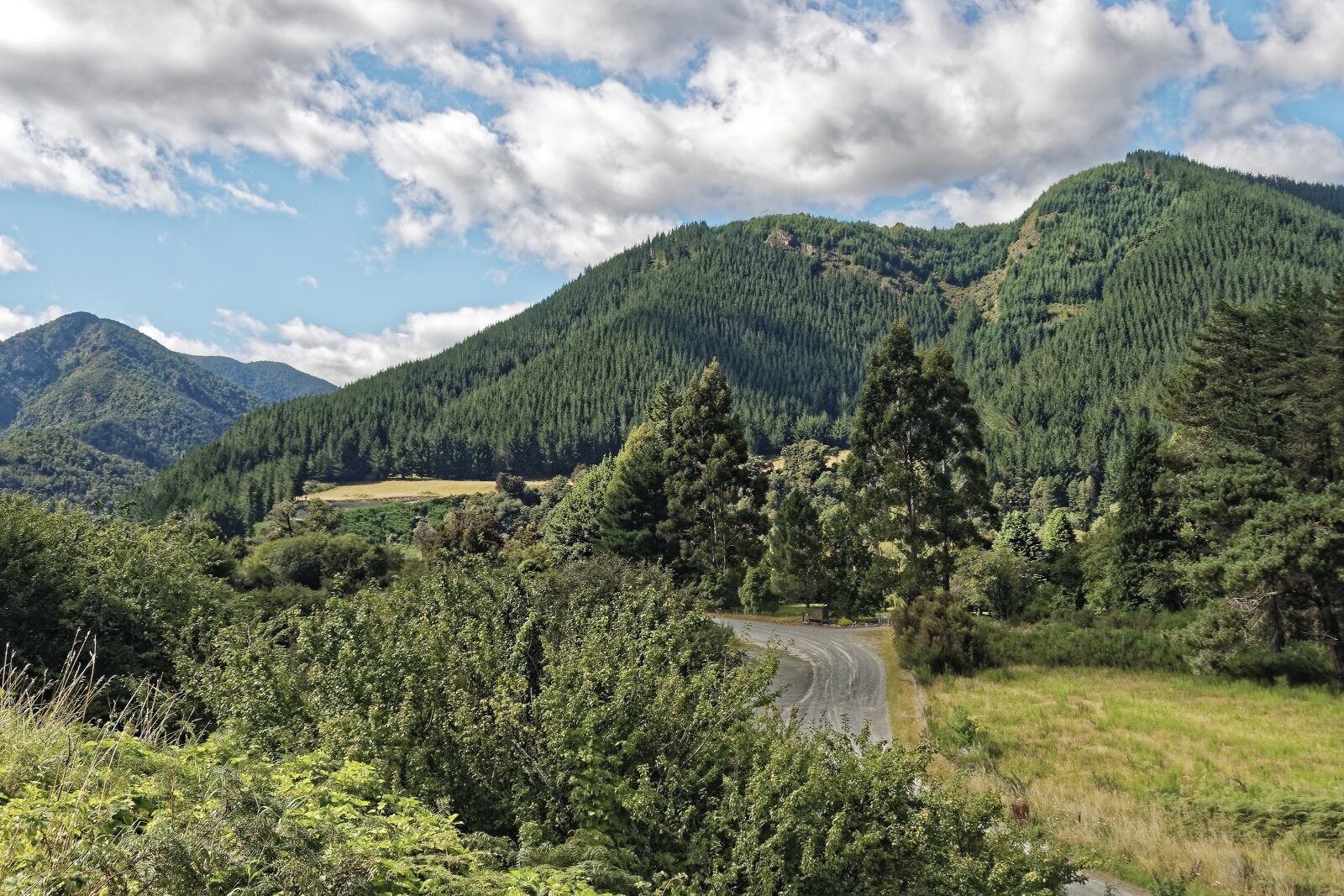 Nikon D500 sample photo. New zealand, mount richmond photography