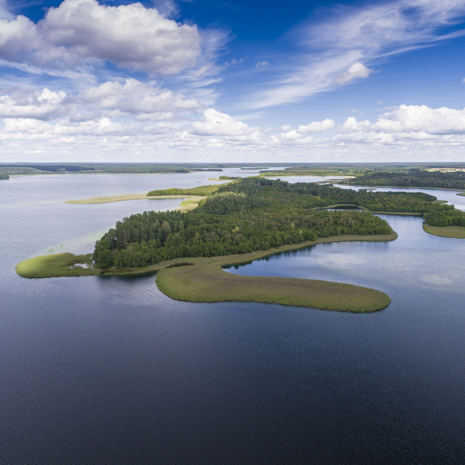 DJI FC330 sample photo. Above, bird, blue, canoeing photography
