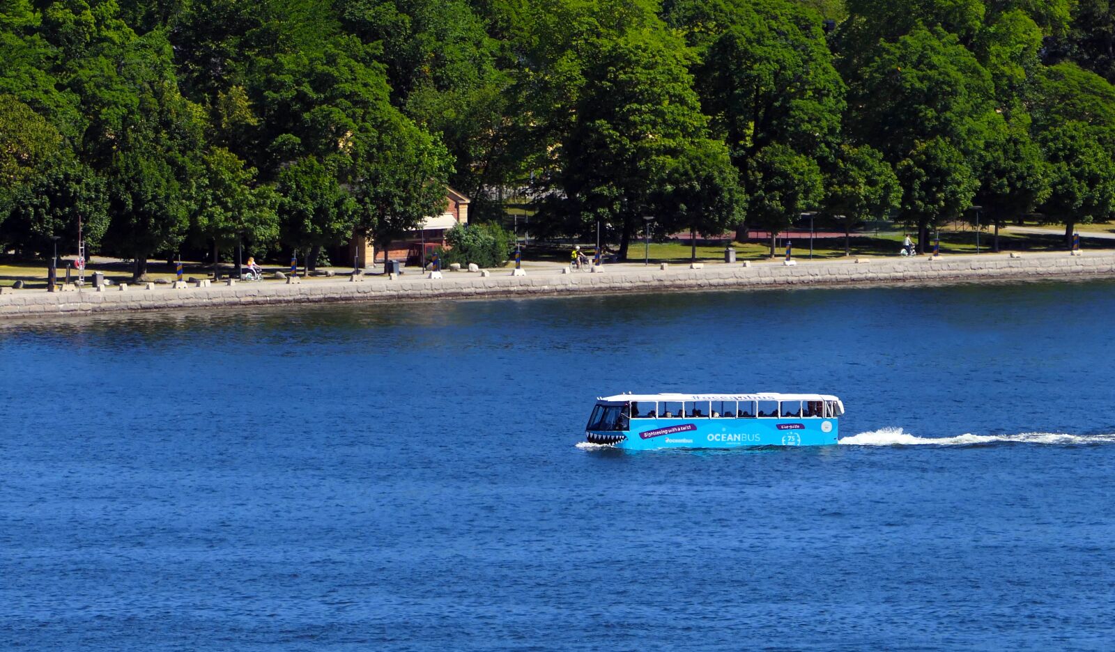 Panasonic Lumix DMC-FZ2500 (Lumix DMC-FZ2000) sample photo. Bus, amphibious, oceanbus photography