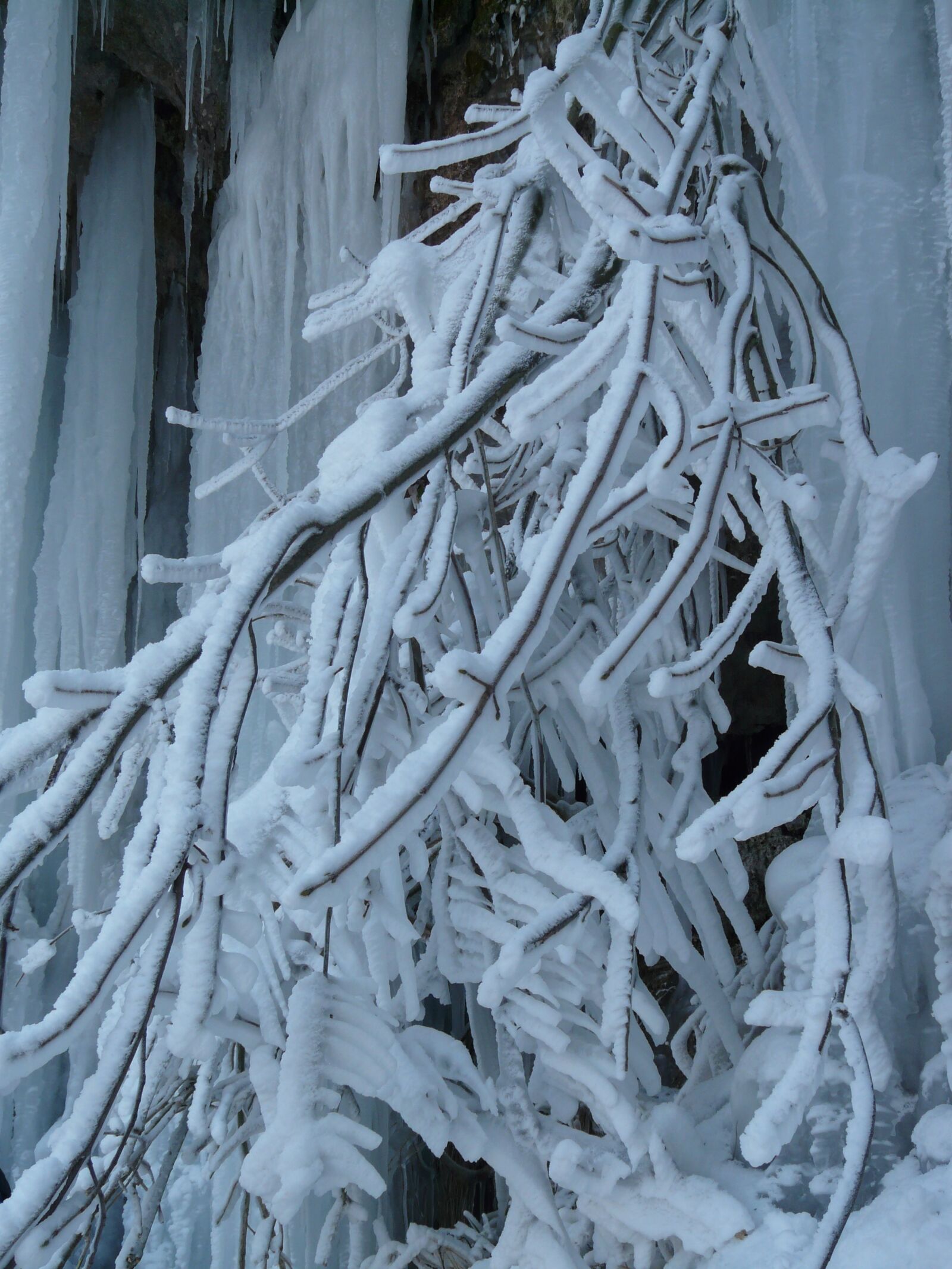 Panasonic DMC-FZ18 sample photo. Branches, aesthetic, hoarfrost photography