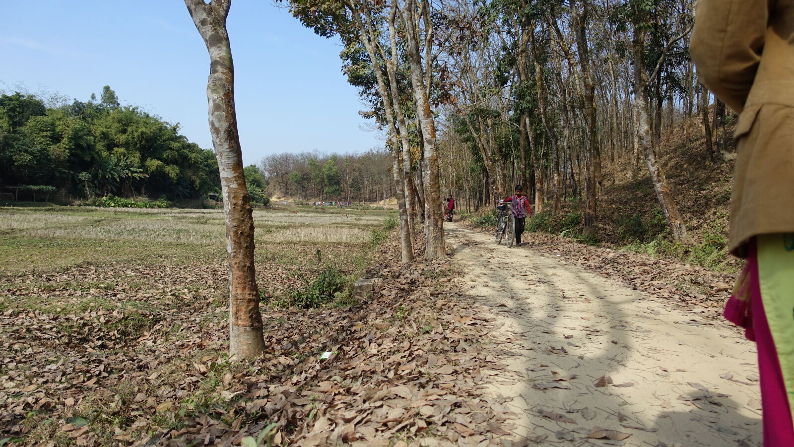 Sony Cyber-shot DSC-RX100 III sample photo. Country, road, natural photography
